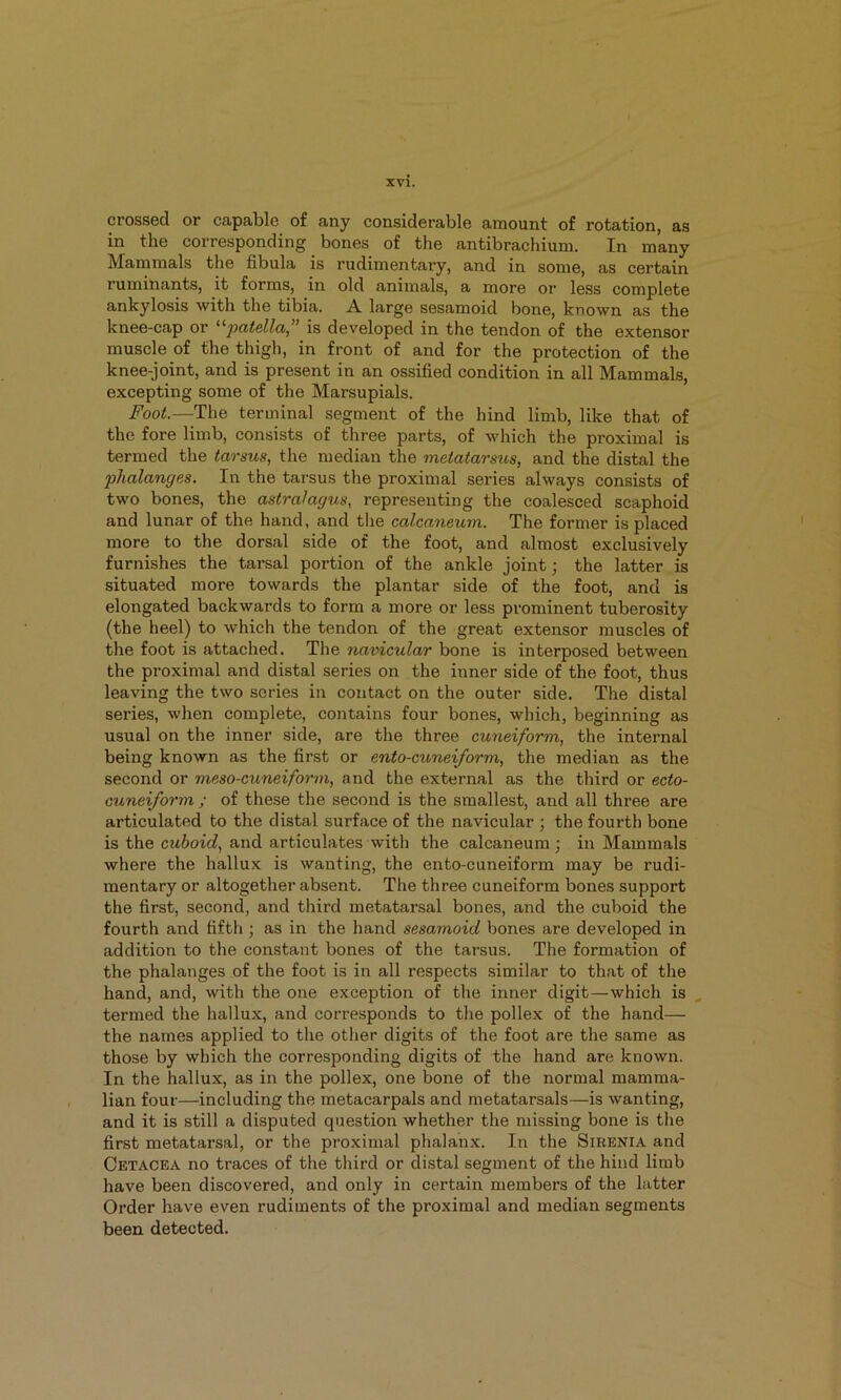 crossed or capable of any considerable amount of rotation, as in the corresponding bones of the antibrachium. In many Mammals the fibula is rudimentary, and in some, as certain ruminants, it forms, in old animals, a more or less complete ankylosis with the tibia. A large sesamoid bone, known as the knee-cap or ^^patella” is developed in the tendon of the extensor muscle of the thigh, in front of and for the protection of the knee-joint, and is present in an ossified condition in all Mammals, excepting some of the Marsupials. Foot.—The terminal segment of the hind limb, like that of the fore limb, consists of three parts, of which the proximal is termed the tarsus, tlie median the metatarsus, and the distal the phalanges. In the tarsus the proximal series always consists of two bones, the astralagus, representing the coalesced scaphoid and lunar of the hand, and t!ie calcaneum. The former is placed more to the dorsal side of the foot, and almost exclusively furnishes the tarsal portion of the ankle joint; the latter is situated more towards the plantar side of the foot, and is elongated backwards to form a more or less prominent tuberosity (the heel) to which the tendon of the great extensor muscles of the foot is attached. The navicular bone is interposed between the proximal and distal series on the inner side of the foot, thus leaving the two series in contact on the outer side. The distal series, when complete, contains four bones, which, beginning as usual on the inner side, are the three cuneiform, the internal being known as the first or ento-cuneiform, the median as the second or meso-cuneiform, and the external as the third or ecto- cuneiform ; of these the second is the smallest, and all three are articulated to the distal surface of the navicular ; the fourth bone is the cuboid, and articulates with the calcaneum ; in Mammals where the hallux is wanting, the ento-cuneiform may be rudi- mentary or altogether absent. The three cuneiform bones support the first, second, and third metatarsal bones, and the cuboid the fourth and fifth; as in the hand sesamoid bones are developed in addition to the constant bones of the tarsus. The formation of the phalanges of the foot is in all respects similar to that of the hand, and, with the one exception of the inner digit—which is termed the hallux, and corresponds to the pollex of the hand— the names applied to the other digits of the foot are the same as those by which the corresponding digits of the hand are known. In the hallux, as in the pollex, one bone of the normal mamma- lian four—including the metacarpals and metatarsals—is wanting, and it is still a disputed question whether the missing bone is the first metatarsal, or the proximal phalanx. In the Sikenia and Cetacea no traces of the third or distal segment of the hind limb have been discovered, and only in certain members of the latter Order have even rudiments of the proximal and median segments been detected.