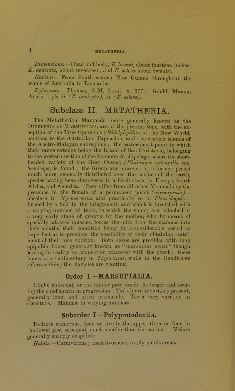 METATHERIA. Dimensions.—Head and body, E. lawesi, about fourteen inches; E. aculeata, about seventeen, and E. setosa about twenty. Habitat.—From South-eastern New Guinea throughout the whole of Australia to Tasmania. References.—Thomas, B.M. Catal. p. 377 ; Gould, Mamm. Austr. i. pis. ii. (E. aculeata), iii. (E. setosa). Subclass II.—METATHERIA. The Metatherian Mammals, more generally known as the Didelphia or Marsupialia, are at the present time, with the ex- ception of the True Opossums (DidelphyidceJ of the New World, confined to the Australian, Papuasian, and the eastern islands of the Austro-Malayan subregions; the easternmost point to which their range extends being the Island of San Christoval, belonging to the western section of the Solomon Archipelago, where the short- headed variety of the Gray Cuscus fPhalanger orientalis var. breviceps) is found ; the Group was however at a former period much more generally distributed over the surface of the earth, species having been discovered in a fossil state in Europe, South Africa, and America. They differ from all other Mammals by the presence in the female of a permanent pouch (marsupium)— obsolete in Myrmecobius and practically so in Phascologale— formed by a fold in the integument, and which is furnished with a varying number of teats, to which tlie young are attached at a very early stage of growth by the mother, who, by means of specially adapted muscles, forces the milk from the mammse into their mouths, their condition being for a considei’able period so imperfect as to preclude the possibility of their obtaining nutri- ment of their own volition. Both sexes are provided with long epipubic bones, generally known as “ marsupial bones, though having in reality no connection whatever with the pouch ; these bones are rudimentary in Thylacinus, while in the Bandicoots (Peramelidce) the clavicles are wanting. Order I.-MARSUPIALIA. Limbs subequal, or the hinder pair much the larger and form- ing the chief agents in progression. Tail almost invariably present, generally long, and often prehensile. Teeth very variable in structure. Mammse in varying numbers. Suborder I —Polyprotodontia. Incisors numerous, four or five in the upper, three or four in the lower jaw, subequal, much smaller than the canines. Molars generally sharply cuspidate. Habits.—Carnivorous; insectivorous; rarely omnivorous.