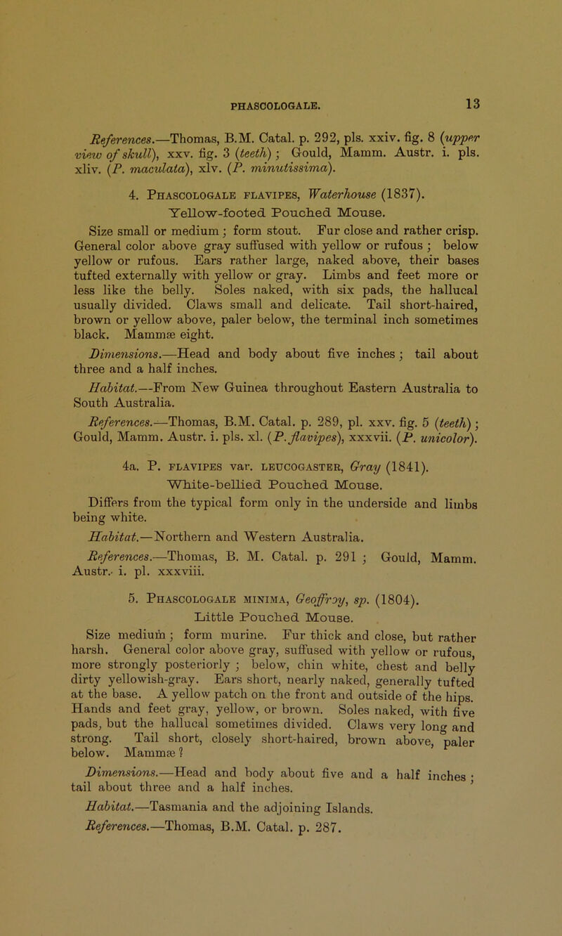 References.—Thomas, B.M. Catal. p. 292, pis. xxiv. fig. 8 {upper view of skull), xxv. fig. 3 (<ee<7i); Gould, Mamm. Austr. i. pis. xliv. (P. maculaia), xlv. {P. minutissima). 4. Phascologale flavipes, Waterhouse (1837). Yellow-footed Pouched Mouse. Size small or medium \ form stout. Fur close and rather crisp. General color above gray suffused with yellow or rufous ; below yellow or rufous. Ears rather large, naked above, their bases tufted externally with yellow or gray. Limbs and feet more or less like the belly. Soles naked, with six pads, the hallucal usually divided. Claws small and delicate. Tail short-haired, brown or yellow above, paler below, the terminal inch sometimes black. Mammae eight. Dimensions.—Head and body about five inches; tail about three and a half inches. Habitat.—From New Guinea throughout Eastern Australia to South Australia. References.—Thoma.B, B.M. Catal. p. 289, pi. xxv. fig. 5 {teeth); Gould, Mamm. Austr. i. pis. xl. {P. flavipes), xxxvii. (P. unicolor). 4a. P. flavipes var. leucogaster. Gray (1841). White-bellied Pouched Mouse. Differs from the typical form only in the underside and limbs being white. Habitat,—Northern and Western Australia. References.—Thomas, B. M. Catal. p. 291 ; Gould, Mamm. Austr.- i. pi. xxxviii. 5. Phascologale minima, Geoffroy, sp. (1804). Little Pouched Mouse. Size medium ; form murine. Fur thick and close, but rather harsh. General color above gray, suffused with yellow or rufous more strongly posteriorly ; below, chin white, chest and belly dirty yellowish-gray. Ears short, nearly naked, generally tufted at the base. A yellow patch on the front and outside of the hips. Hands and feet gray, yellow, or brown. Soles naked, with five pads, but the hallucal sometimes divided. Claws very long and strong. Tail short, closely short-haired, brown above, paler below. Mammae ? Dimensions.—Head and body about five and a half inches • tail about three and a half inches. ’ Habitat.—Tasmania and the adjoining Islands. References.—Thomas, B.M. Catal. p. 287.