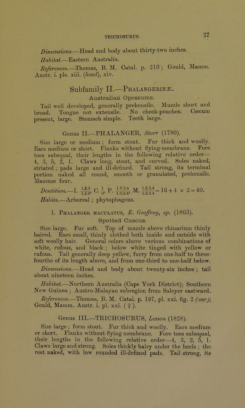 Dimensions.—Head and body about thirty-two inches. Habitat.—Eastern Australia. Refovences.—Thomas, B. M. Catal. p. 210 j Gould, Mamni. Austr. i. pis. xiii. (head), xiv. Subfamily II.—Phalangerina:. Australian Opossums. Tail well developed, generally prehensile. Muzzle short and broad. Tongue not extensile. No cheek-pouches. Ccecum present, large. Stomach simple. Teeth large. Genus II.—PHALANGER, Storr (1780). Size large or medium ; form stout. Fur thick and woolly. Ears medium or short. Flanks without flying-membrane. Fore toes subequal, their lengths in the following relative order— 4, 3, 5, 2, 1. Claws long, stout, and curved. Soles naked, striated; pads large and ill-deflned. Tail strong, its terminal portion naked all round, smooth or granulated, prehensile. Mammae four. Dentition.—I. C. P. 1,0 3.4 1.0.3.4’ M. 1.2.3.4 1.2.3.4 = 16 + 4 X 2 = 40. Habits.—Arboreal; phytophagous. 1. Phalanger maculatus, E. Geoffroy, s/i. (1803). Spotted Cuscus. Size large. Fur soft. Top of muzzle above rhinarium thinly haired. Ears small, thinly clothed both inside and outside with soft woolly hair. General colors above various combinations of white, rufous, and black ; below white tinged with yellow or rufous. Tail generally deep yellow, furry from one-half to three- fourths of its length above, and from one-third to one-half below. Dimensions.—Head and body about twenty-six inches; tail about nineteen inches. Habitat.—Northern Australia (Cape York District); Southern New Guinea ; Austro-Malayan subregion from Saleyer eastward. References.—Thomas, B. M. Catal. p. 197, pi. xxi. fig. 2 (ear)’, Gould, Mamm. Austr. i. pi. xxi. ( ? ). Genus III.—TRICHOSURUS, Lesson (1828). Size large ; form stout. Fur thick and woolly. Ears medium or short. Flanks without flying membrane. Fore toes subequal, their lengths in the following relative order—4, 3, 2, 5, 1. Claws large and strong. Soles thickly hairy under the heels ; the rest naked, with low rounded ill-defined pads. Tail strong, its