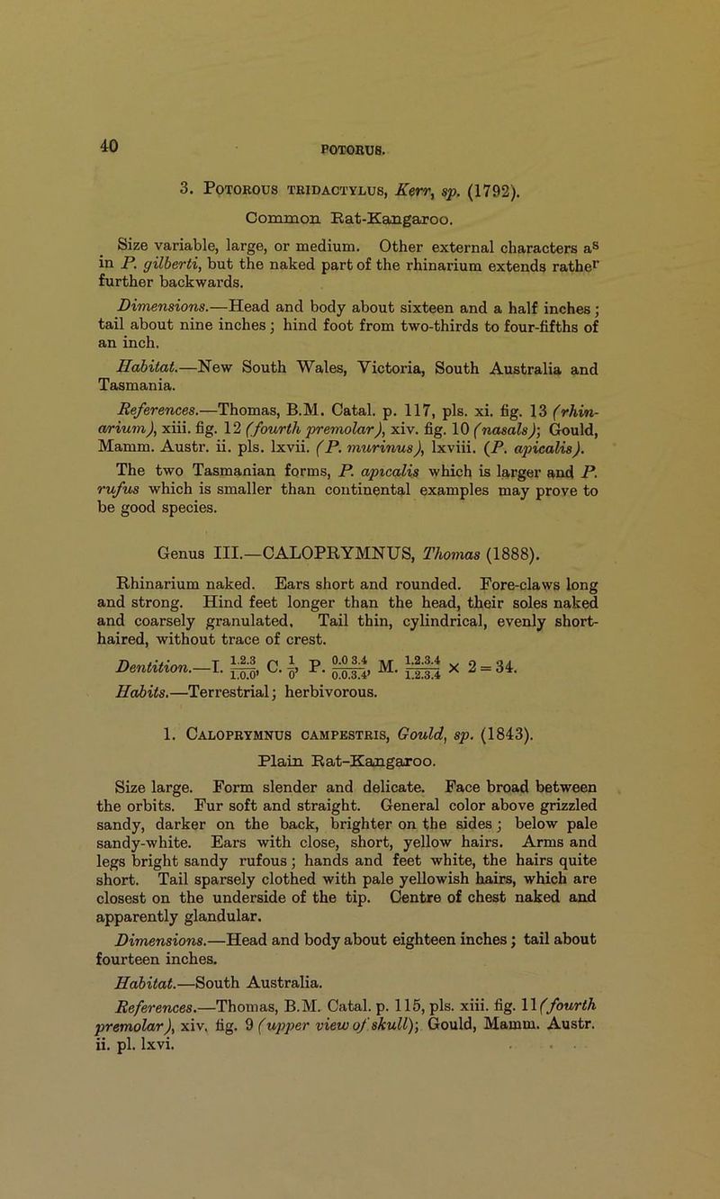 3. PoTOROUS TRiDACTYLUs, Kerr^ sp. (1792). Common Eat-Kangaa?oo. Size variable, large, or medium. Other external characters aS in P. gilberti, but the naked part of the rhinarium extends rathe^ further backwards. Dimensions.—Head and body about sixteen and a half inches; tail about nine inches; hind foot from two-thirds to four-fifths of an inch. Habitat.—New South Wales, Victoria, South Australia and Tasmania. References.—Thomas, B.M. Catal, p. 117, pis. xi. fig. 13 (rhin- a/rium), xiii. fig. 12 (fourth premolar), xiv. fig. 10 nasals); Gould, Mamm. Austr. ii. pis. Ixvii. (P. murinus), Ixviii. (P. apicalis). The two Tasmanian forms, P. apicalis which is larger and P. rufus which is smaller than continental examples may prove to be good species. Genus III.—CALOPRYMNUS, Thomas (1888). Rhinarium naked. Ears short and rounded. Pore-claws long and strong. Hind feet longer than the head, their soles naked and coarsely granulated. Tail thin, cylindrical, evenly short- haired, without trace of crest. Dentition.—I. Habits. 1.2.3 p 1 i.o.o> o’ P. 0.0 3.4 0.0.3.4* Terrestrial; herbivorous. M. 1.2.3.4 1.2.3.4 X 2 = 34. 1. Caloprymnus campbstris, Gould, sp. (1843). Plain Rat-Kangaroo. Size large. Form slender and delicate. Face broad between the orbits. Fur soft and straight. General color above grizzled sandy, darker on the back, brighter on the sides j below pale sandy-white. Ears with close, short, yellow hairs. Arms and legs bright sandy rufous; hands and feet white, the hairs quite short. Tail sparsely clothed with pale yellowish hairs, which are closest on the underside of the tip. Centre of chest naked and apparently glandular. Dimensions.—Head and body about eighteen inches; tail about fourteen inches. Habitat.—South Australia, References.—Thomas, B.M. Catal. p. 115, pis. xiii. fig. \ \(fourth premolar), xiv. fig. % (upper view of skull)] Gould, Mamm. Austr. ii. pi. Ixvi. . .