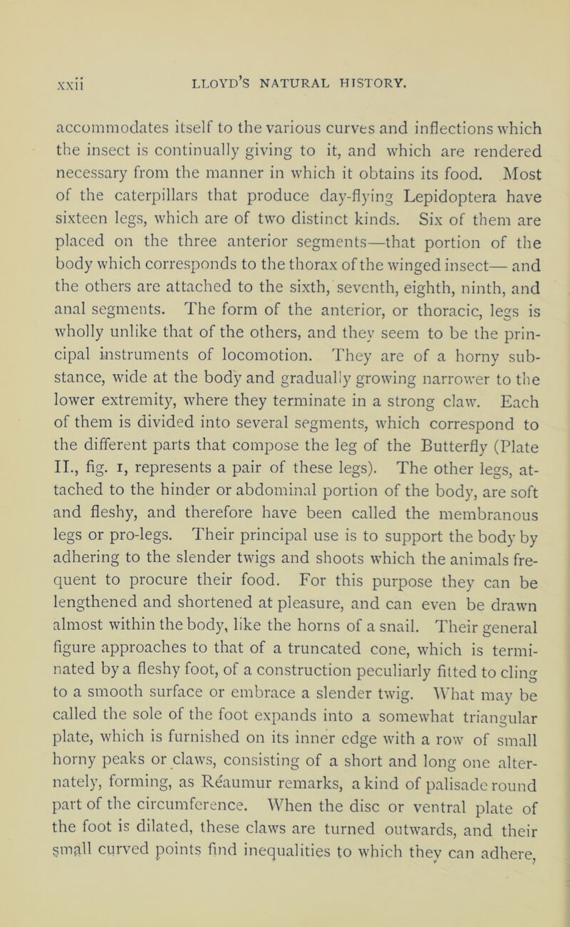 accommodates itself to the various curves and inflections which the insect is continually giving to it, and which are rendered necessary from the manner in which it obtains its food. Most of the caterpillars that produce day-flying Lepidoptera have sixteen legs, which are of two distinct kinds. Six of them are placed on the three anterior segments—that portion of the body which corresponds to the thorax of the winged insect— and the others are attached to the sixth, seventh, eighth, ninth, and anal segments. The form of the anterior, or thoracic, legs is wholly unlike that of the others, and they seem to be the prin- cipal instruments of locomotion. They are of a horny sub- stance, wide at the body and gradually growing narrower to the lower extremity, where they terminate in a strong claw. Each of them is divided into several segments, which correspond to the different parts that compose the leg of the Butterfly (Plate II., fig. I, represents a pair of these legs). The other legs, at- tached to the hinder or abdominal portion of the body, are soft and fleshy, and therefore have been called the membranous legs or pro-legs. Their principal use is to support the body by adhering to the slender twigs and shoots which the animals fre- quent to procure their food. For this purpose they can be lengthened and shortened at pleasure, and can even be drawn almost within the body, like the horns of a snail. Their general figure approaches to that of a truncated cone, which is termi- nated by a fleshy foot, of a construction peculiarly fitted to cling to a smooth surface or embrace a slender twig. What may be called the sole of the foot expands into a somewhat triangular plate, which is furnished on its inner edge with a row of small horny peaks or claws, consisting of a short and long one alter- nately, forming, as Reaumur remarks, a kind of palisade round part of the circumference. When the disc or ventral plate of the foot is dilated, these claws are turned outwards, and their snmll curved points find inequalities to which they can adhere,