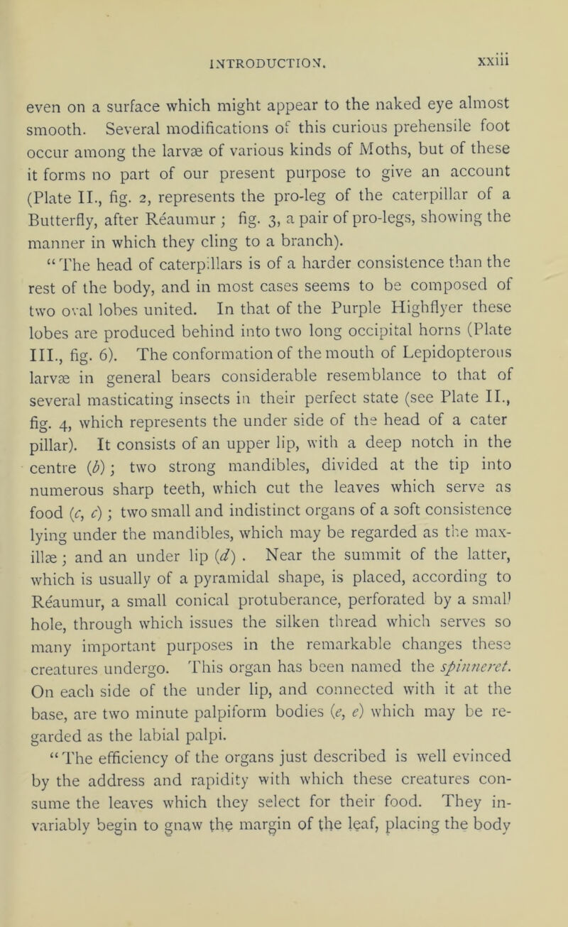 even on a surface which might appear to the naked eye almost smooth. Several modifications of this curious prehensile foot occur among the larvae of various kinds of Moths, but of these it forms no part of our present purpose to give an account (Plate II., fig. 2, represents the pro-leg of the caterpillar of a Butterfly, after Reaumur ; fig. 3, a pair of pro-legs, showing the manner in which they cling to a branch). “ The head of caterpillars is of a harder consistence than the rest of the body, and in most cases seems to be composed of two oval lobes united. In that of the Purple Highflyer these lobes are produced behind into two long occipital horns (Plate IIP, fig. 6). The conformation of the mouth of Lepidopteroiis larvse in general bears considerable resemblance to that of several masticating insects in their perfect state (see Plate IP, fig. 4, which represents the under side of the head of a cater pillar). It consists of an upper lip, with a deep notch in the centre {d); two strong mandibles, divided at the tip into numerous sharp teeth, which cut the leaves which serve as food (c, c); two small and indistinct organs of a soft consistence lying under the mandibles, which may be regarded as the max- illce ; and an under lip {d) . Near the summit of the latter, which is usually of a pyramidal shape, is placed, according to Reaumur, a small conical protuberance, perforated by a smaU hole, through which issues the silken thread which serves so many important purposes in the remarkable changes these creatures undergo. This organ has been named the spinneret. On each side of the under lip, and connected with it at the base, are two minute palpiform bodies {e, e) which may be re- garded as the labial palpi. “The efficiency of the organs just described is well evinced by the address and rapidity with which these creatures con- sume the leaves which they select for their food. They in- variably begin to gnaw the margin of the leaf, placing the body