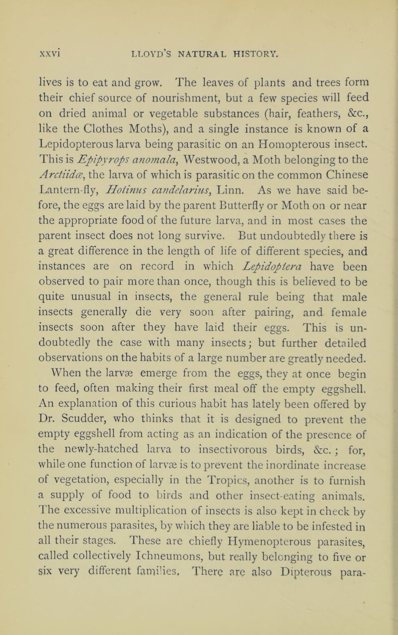 lives is to eat and grow. The leaves of plants and trees form their chief source of nourishment, but a few species will feed on dried animal or vegetable substances (hair, feathers, &c., like the Clothes Moths), and a single instance is known of a Lepidopterous larva being parasitic on an Homopterous insect. This is Epipyrops anojnala, Westwood, a Moth belonging to the ArctiidcE, the larva of which is parasitic on the common Chinese Lantern-fly, Hoiinus ca?idelarius, Linn. As we have said be- fore, the eggs are laid by the parent Butterfly or Moth on or near the appropriate food of the future larva, and in most cases the parent insect does not long survive. But undoubtedly there is a great difference in the length of life of different species, and instances are on record in which Lepidopiera have been observed to pair more than once, though this is believed to be quite unusual in insects, the general rule being that male insects generally die very soon after pairing, and female insects soon after they have laid their eggs. This is un- doubtedly the case with many insects; but further detailed observations on the habits of a large number are greatly needed. When the larvae emerge from the eggs, they at once begin to feed, often making their first meal off the empty eggshell. An explanation of this curious habit has lately been offered by Dr. Scudder, who thinks that it is designed to prevent the empty eggshell from acting as an indication of the presence of the newly-hatched larva to insectivorous birds, &c. ; for, while one function of larvae is to prevent the inordinate increase of vegetation, especially in the Tropics, another is to furnish a supply of food to birds and other insect-eating animals. I'he excessive multiplication of insects is also kept in check by the numerous parasites, by which they are liable to be infested in all their stages. These are chiefly Hymenopterous parasites, called collectively Ichneumons, but really belonging to five or six very different famihes. There are also Dipterous para-
