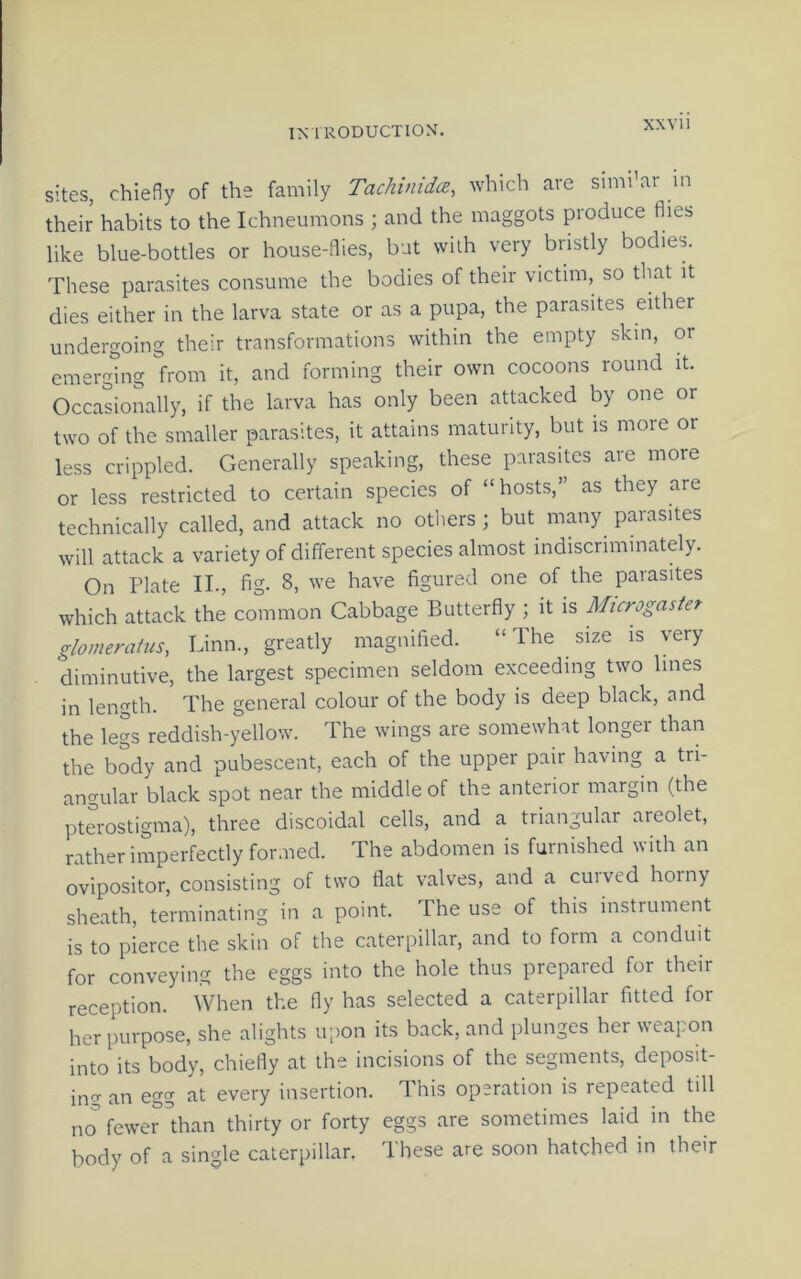 sites, chiefly of the family Tachinidce, which are simi’ar in their habits to the Ichneumons ; and the maggots produce flies like blue-bottles or house-flies, but with very bristly bodies. These parasites consume the bodies of their victim, so that it dies either in the larva state or as a pupa, the parasites either undergoing their transformations within the empty skin, or emerging from it, and forming their own cocoons round it. Occasionally, if the larva has only been attacked by one or two of the smaller parasites, it attains maturity, but is more or less crippled. Generally speaking, these parasites are more or less restricted to certain species of “hosts,” as they are technically called, and attack no others; but many parasites will attack a variety of different species almost indiscriminately. On Plate II., fig- 8, we have figured one of the parasites which attack the common Cabbage Butterfly ; it is Microgastef glomerahis, Linn., greatly magnified. “The size is very diminutive, the largest specimen seldom exceeding two lines in length. The general colour of the body is deep black, and the legs reddish-yellow. The wings are somewhat longer than the body and pubescent, each of the upper pair having a tri- angular black spot near the middle of the anterior margin (the pterostigma), three discoidal cells, and a triangular areolet, rather imperfectly formed. The abdomen is furnished with an ovipositor, consisting of two flat valves, and a cuived horny sheath, terminating in a point. The use of this instrument is to pierce the skin of the caterpillar, and to form a conduit for conveying the eggs into the hole thus prepared for their reception. When the fly has selected a caterpillar fitted for her purpose, she alights upon its back, and plunges her weapon into its body, chiefly at the incisions of the segments, deposit- in'^ an egg at every insertion. This operation is repeated till no” fewerthan thirty or forty eggs are sometimes laid in the body of a single caterpillar. These are soon hatched in their