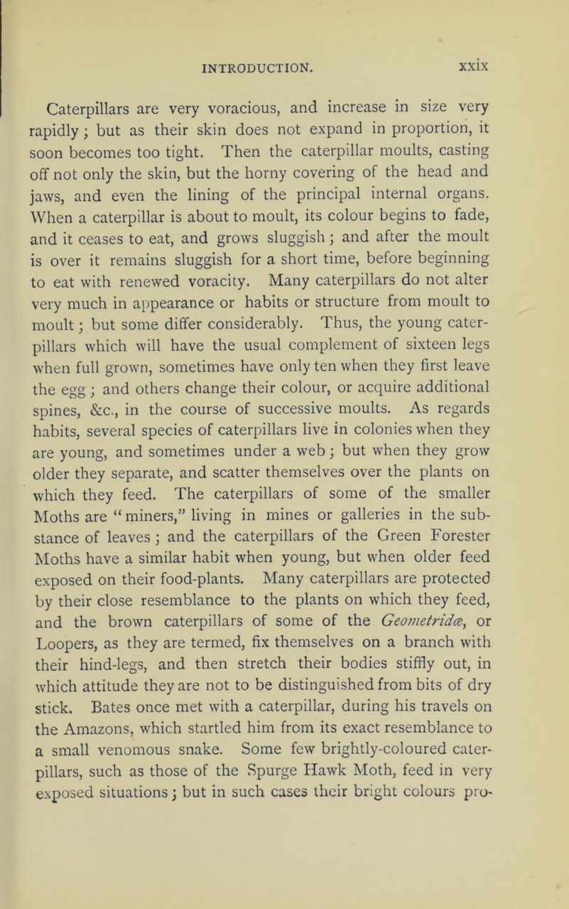 Caterpillars are very voracious, and increase in size very rapidly; but as their skin does not expand in proportion, it soon becomes too tight. Then the caterpillar moults, casting off not only the skin, but the horny covering of the head and jaws, and even the lining of the principal internal organs. When a caterpillar is about to moult, its colour begins to fade, and it ceases to eat, and grows sluggish; and after the moult is over it remains sluggish for a short time, before beginning to eat with renewed voracity. Many caterpillars do not alter very much in appearance or habits or structure from moult to moult; but some differ considerably. Thus, the young cater- pillars which will have the usual complement of sixteen legs when full grown, sometimes have only ten when they first leave the egg ; and others change their colour, or acquire additional spines, &c., in the course of successive moults. As regards habits, several species of caterpillars live in colonies when they are young, and sometimes under a web; but when they grow older they separate, and scatter themselves over the plants on which they feed. The caterpillars of some of the smaller Moths are “ miners,” living in mines or galleries in the sub- stance of leaves ; and the caterpillars of the Green Forester Moths have a similar habit when young, but when older feed exposed on their food-plants. Many caterpillars are protected by their close resemblance to the plants on which they feed, and the brown caterpillars of some of the Geometridce, or Loopers, as they are termed, fix themselves on a branch with their hind-legs, and then stretch their bodies stiffly out, in which attitude they are not to be distinguished from bits of dry stick. Bates once met with a caterpillar, during his travels on the Amazons, which startled him from its exact resemblance to a small venomous snake. Some few brightly-coloured cater- pillars, such as those of the Spurge Hawk Moth, feed in very exposed situations; but in such cases their bright colours pro-