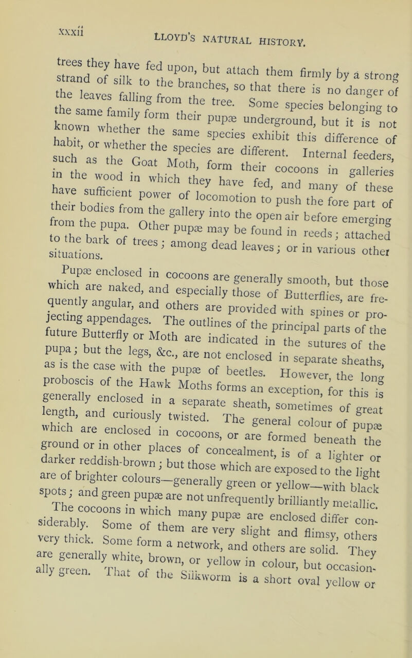 Lloyds natural history. sZf'f '’•r “““h “'em firmly by a seronff avl'w,- no dang of knortle I r ?h” ndergrouod, but it is not such’::ti‘e™!r;eede.^ Tthe^o':: in^,rheXe‘1^ “T= have sufficient power of .oLm’odon to pu thTfL part: to L ba,k of S i attache! situa!»s ’ other whffi'h’;.:'”:! got'otally smooth, but those Ch are naked, and especially those of Butterflies are fro quently angular, and others are provided with as; t’he case witT’tht'i;:;;;: proboscis of the Hawk Moths fnn-nc o • ’ ^ generally enclosed in aTept^rZ;^'’^' length, and curiously twisted. The genera™:!';'* °r which are enclosed in cocoons, or are formed b^em^X ground or in Other places of concealment h nf t ] f darker reddish-brown ; but those whic! are ’e^os d tot’ ll are of brighter colours-generally green or yilowJ;; bS pots and green pupae are not unfrequently brilliantly metallic sidlabl °r* P“Pte are enclosed dife cc,; very tliidc r°^ ““ ®”Sy’ 0‘hers very thick. Some form a network, and others are snU^ mu y e een. hat of the Siiuworm is a short oval yellow or