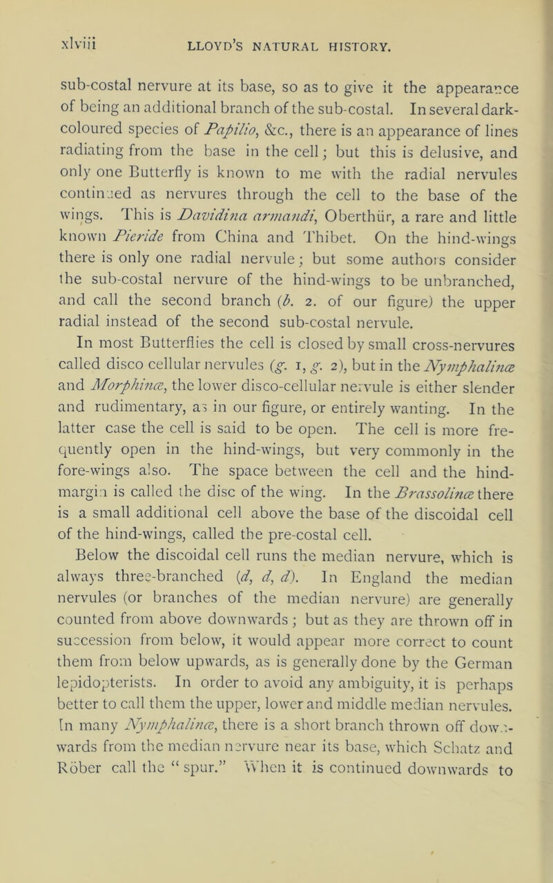 sub-costal nervure at its base, so as to give it the appearance of being an additional branch of the sub-costal. In several dark- coloured species of Papilio, &c., there is an appearance of lines radiating from the base in the cell; but this is delusive, and only one Butterfly is known to me with the radial nervules continued as nervures through the cell to the base of the wings. This is Pazndttia armandi, Oberthiir, a rare and little known Pieride from China and Thibet. On the hind-wimjs there is only one radial nervule; but some authors consider the sub-costal nervure of the hind-wings to be unbranched, and call the second branch {b. 2. of our figure) the upper radial instead of the second sub-costal nervule. In most Butterflies the cell is closed by small cross-nervures called disco cellular nervules {g. i, g. 2), but in Nymphalmcs and Morphince, the lower disco-cellular nervule is either slender and rudimentary, as in our figure, or entirely wanting. In the latter case the cell is said to be open. The cell is more fre- quently open in the hind-wings, but very commonly in the fore-wings also. The space between the cell and the hind- margin is called the disc of the wing. In the Brassolince ihexQ is a small additional cell above the base of the discoidal cell of the hind-wings, called the pre-costal cell. Below the discoidal cell runs the median nervure, which is always three-branched {d, d, d). In England the median nervules (or branches of the median nervure) are generally counted from above downwards; but as they are thrown off in succession from below, it would appear more correct to count them from below upwards, as is generally done by the German lepidopterists. In order to avoid any ambiguity, it is perhaps better to call them the upper, lower and middle median nervules. In many Nymphalince^ there is a short branch thrown off dow.> wards from the median nervure near its base, which Schatz and Rober call the “ spur.” When it is continued downwards to