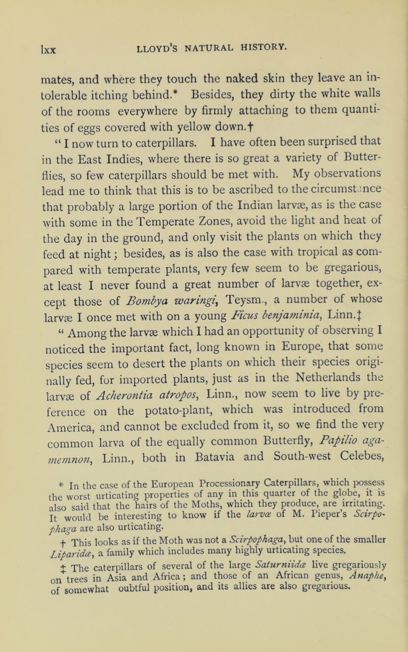 mates, and where they touch the naked skin they leave an in- tolerable itching behind.* Besides, they dirty the white walls of the rooms everywhere by firmly attaching to them quanti- ties of eggs covered with yellow down.f “ I now turn to caterpillars. I have often been surprised that in the East Indies, where there is so great a variety of Butter- flies, so few caterpillars should be met with. My observations lead me to think that this is to be ascribed to the circumst.mce that probably a large portion of the Indian larvae, as is the case with some in the Temperate Zones, avoid the light and heat of the day in the ground, and only visit the plants on which they feed at night; besides, as is also the case with tropical as com- pared with temperate plants, very few seem to be gregarious, at least I never found a great number of larvae together, ex- cept those of Bombya waringiy Teysm., a number of whose larvae I once met with on a young Ficus benjatninia, Linn.| “ Among the larvae which I had an opportunity of observing I noticed the important fact, long known in Europe, that some species seem to desert the plants on which their species origi- nally fed, for imported plants, just as in the Netherlands the larvae of Acherontia atropos, Linn., now seem to live by pre- ference on the potato-plant, which was introduced from America, and cannot be excluded from it, so we find the very common larva of the equally common Butterfly, Papilio aga- juctunofij Linn., both in Batavia and South-west Celebes, *■ In the case of the European Processionary Caterpillars, which possess the worst urticating properties of any in this quarter of the globe, it is also said that the hairs of the Moths, which they produce, are irritating, it would be interesting to know if the /a;w of M. Pieper’s Sdrpo- phaga, are also urticating. t This looks as if the Moth was not a Scirpopkaga, but one of the smaller Liparidce., a family which includes many highly urticating species. + The caterpillars of several of the large Saturniidce live gregariously on^trees in Asia and Africa; and those of an African genus, Anaphe, of somewhat oubtful position, and its allies are also gregarious.