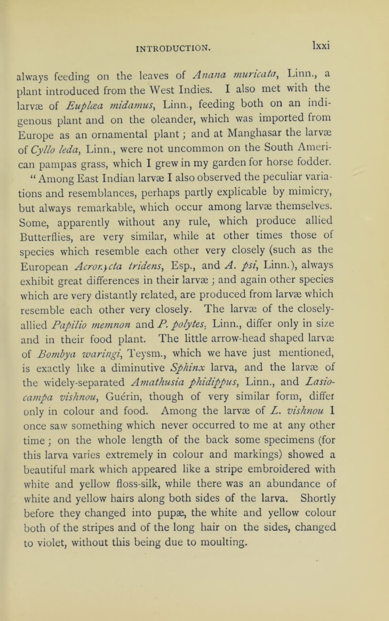 always feeding on the leaves of Anivta inuriciiUi^ Linn., a plant introduced from the West Indies. I also met with the larvae of JEuplceci ?nidiimus, Linn., feeding both on an indi- genous plant and on the oleander, which was imported from Europe as an ornamental plant; and at Manghasar the larvae of Cyllo ieda, Linn., were not uncommon on the South Ameri- can pampas grass, which I grew in my garden for horse fodder. “ Among East Indian larvae I also observed the peculiar varia- tions and resemblances, perhaps partly explicable by mimicry, but always remarkable, which occur among larvae themselves. Some, apparently without any rule, which produce allied Butterflies, are very similar, while at other times those of species which resemble each other very closely (such as the European Acronycta iridens^ Esp., and A. pst, Linn.), always exhibit great differences in their larvae ; and again other species which are very distantly related, are produced from larvae which resemble each other very closely. The larvae of the closely- allied Papilio niemnon and P. polytes, Linn., differ only in size and in their food plant. The little arrow-head shaped larvae of Bombya tvaringi, Teysm., which we have just mentioned, is exactly like a diminutive Sphinx larva, and the larvae of the widely-separated Amathusia phidippus, Linn., and Lasio- campa vishnou, Guerin, though of very similar form, differ only in colour and food. Among the larvae of L. vish?iou I once saw something which never occurred to me at any other time; on the whole length of the back some specimens (for this larva varies extremely in colour and markings) showed a beautiful mark which appeared like a stripe embroidered with white and yellow floss-silk, while there was an abundance of white and yellow hairs along both sides of the larva. Shortly before they changed into pupae, the white and yellow colour both of the stripes and of the long hair on the sides, changed to violet, without this being due to moulting.