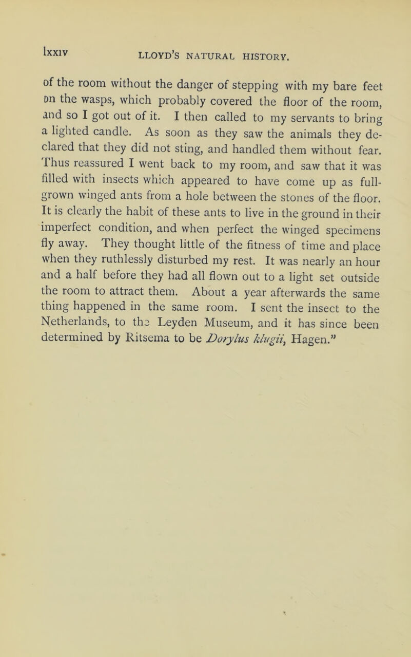 of the room without the danger of stepping with my bare feet Dn the wasps, which probably covered the floor of the room, and so I got out of it, I then called to my servants to bring a lighted candle. As soon as they saw the animals they de- clared that they did not sting, and handled them without fear. Thus reassured I went back to my room, and saw that it was filled with insects which appeared to have come up as full- grown winged ants from a hole between the stones of the floor. It is clearly the habit of these ants to live in the ground in their imperfect condition, and when perfect the winged specimens fly away. They thought little of the fitness of time and place when they ruthlessly disturbed my rest. It was nearly an hour and a half before they had all flown out to a light set outside the room to attract them. About a year afterwards the same thing happened in the same room. I sent the insect to the Netherlands, to the Leyden Museum, and it has since been determined by Ritsema to be Dorylus klugii, Hagen.”