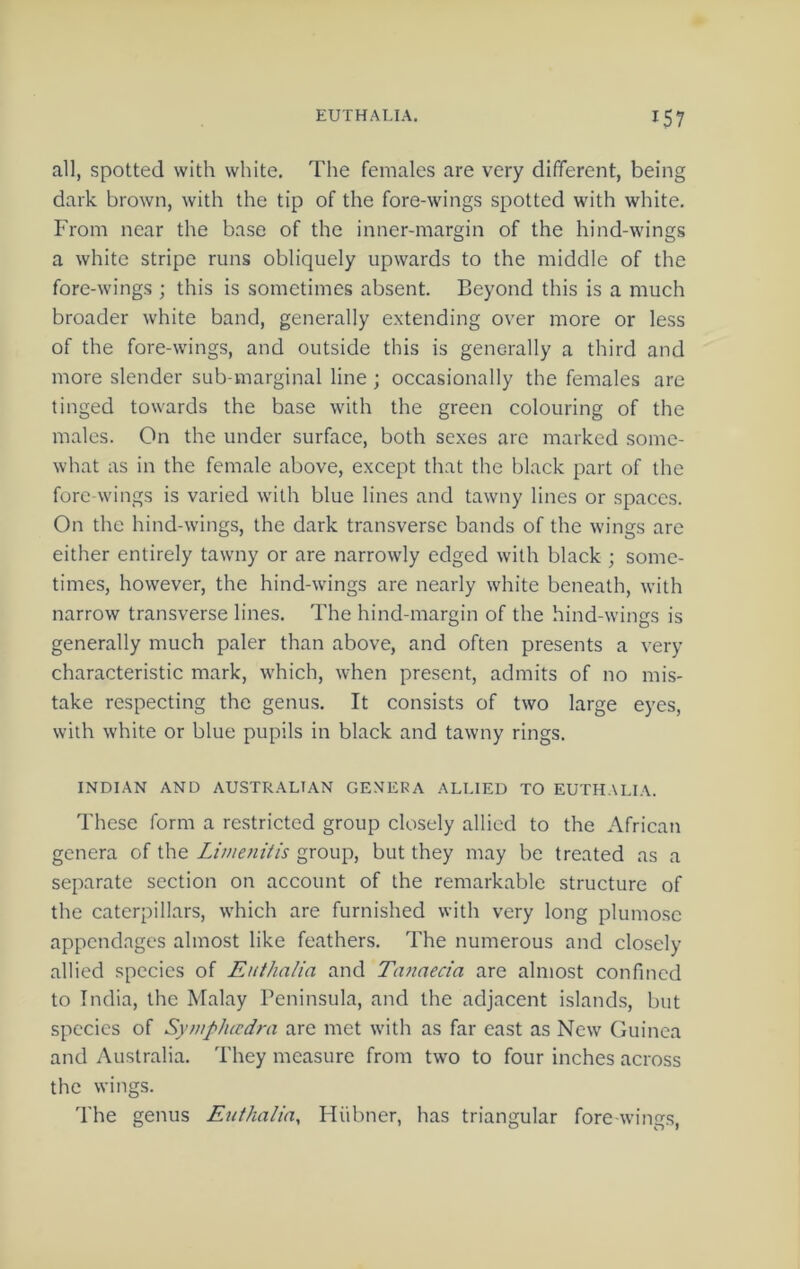 all, spotted with white. The females are very different, being dark brown, with the tip of the fore-wings spotted with white. From near the base of the inner-margin of the hind-wings a white stripe runs obliquely upwards to the middle of the fore-wings ; this is sometimes absent. Beyond this is a much broader white band, generally extending over more or less of the fore-wings, and outside this is generally a third and more slender sub-marginal line ; occasionally the females are tinged towards the base with the green colouring of the males. On the under surface, both sexes are marked some- what as in the female above, except that the black part of the fore-wings is varied with blue lines and tawny lines or spaces. On the hind-wings, the dark transverse bands of the wings are either entirely tawny or are narrowly edged with black ; some- times, however, the hind-wings are nearly white beneath, with narrow transverse lines. The hind-margin of the hind-wings is generally much paler than above, and often presents a very characteristic mark, which, when present, admits of no mis- take respecting the genus. It consists of two large eyes, with white or blue pupils in black and tawny rings. INDIAN AND AUSTRALIAN GENERA ALLIED TO EUTHALIA. These form a restricted group closely allied to the African genera of the Limenitis group, but they may be treated as a separate section on account of the remarkable structure of the caterpillars, which are furnished with very long plumo.se appendages almost like feathers. The numerous and closely allied species of Euthalia and Tanaecia are almost confined to India, the Malay Peninsula, and the adjacent islands, but species of Sympheedra are met with as far east as New Guinea and Australia. They measure from two to four inches across the wings. The genus Euthalia, Hiibner, has triangular fore-wings.