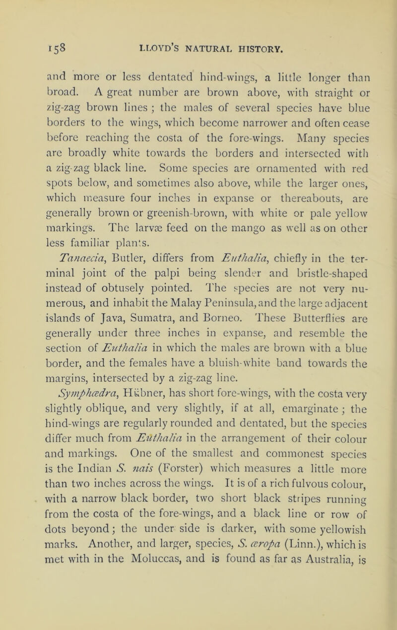 and more or less dentated hind-wings, a little longer than broad. A great number are brown above, with straight or zig-zag brown lines ; the males of several speeies have blue borders to the wings, which become narrower and often cease before reaching the costa of the fore-wings. Many species are broadly white towards the borders and intersected with a zig zag black line. Some species are ornamented with red spots below, and sometimes also above, while the larger ones, which measure four inches in expanse or thereabouts, are generally brown or greenish-brown, with white or pale yellow markings. The larvae feed on the mango as well as on other less familiar plants. Tanaecia, Butler, differs from Eiithalia, chiefly in the ter- minal joint of the palpi being slender and bristle-shaped instead of obtusely pointed. The species are not very nu- merous, and inhabit the Malay Peninsula, and the large adjacent islands of Java, Sumatra, and Borneo. These Butterflies are generally under three inches in expanse, and resemble the section of Eitthalia in which the males are brown with a blue border, and the females have a bluish-white band towards the margins, intersected by a zig-zag line. SymphcBdra, Hubner, has short fore-wings, with the costa very slightly oblique, and very slightly, if at all, emarginate ; the hind-wings are regularly rounded and dentated, but the species differ much from Euthalia in the arrangement of their colour and markings. One of the smallest and commonest species is the Indian A. nais (Forster) which measures a little more than two inches across the wings. It is of a rich fulvous colour, with a narrow black border, two short black stripes running from the costa of the fore-wings, and a black line or row of dots beyond; the under side is darker, with some yellowish marks. Another, and larger, species, A. an‘Opa (Linn.), which is met with in the Moluccas, and is found as far as Australia, is