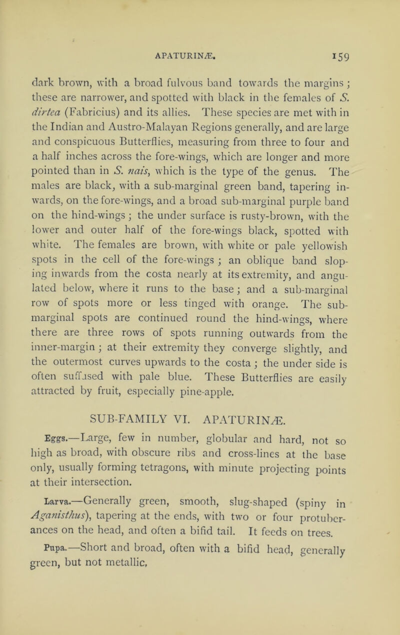 dark brown, with a broad fulvous band towards the margins ; these are narrower, and spotted with black in the females of S. dirtea (Fabricius) and its allies. These species are met with in the Indian and Austro-Malayan Regions generally, and are large and conspicuous Butterflies, measuring from three to four and a half inches across the fore-wings, which are longer and more pointed than in S. tmis, which is the type of the genus. The males are black, with a sub-marginal green band, tapering in- wards, on the fore-wings, and a broad sub-marginal purple band on the hind-wings ; the under surface is rusty-brown, with the lower and outer half of the fore-wings black, spotted with white. The females are brown, with white or pale yellow'ish spots in the cell of the fore-wings ; an oblique band slop- ing inwards from the costa nearly at its extremity, and angu- lated below, where it runs to the base; and a sub-marginal row of spots more or less tinged with orange. The sub- marginal spots are continued round the hind-wings, where there are three rows of spots running outwards from the inner-margin ; at their extremity they converge slightly, and the outermost curves upwards to the costa ; the under side is often suffused with pale blue. These Butterflies are easily attracted by fruit, especially pine-apple. SUB-FAMILY VI. APATURIN^. Eggs.—Large, few in number, globular and hard, not so high as broad, with obscure ribs and cross-lines at the base only, usually forming tetragons, with minute projecting points at their intersection. Larva.—Generally green, smooth, slug-shaped (spiny in Aganist/ius), tapering at the ends, with two or four protuber- ances on the head, and often a bifid tail. It feeds on trees. Piipa.—Short and broad, often with a bifid head, generally green, but not metallic.