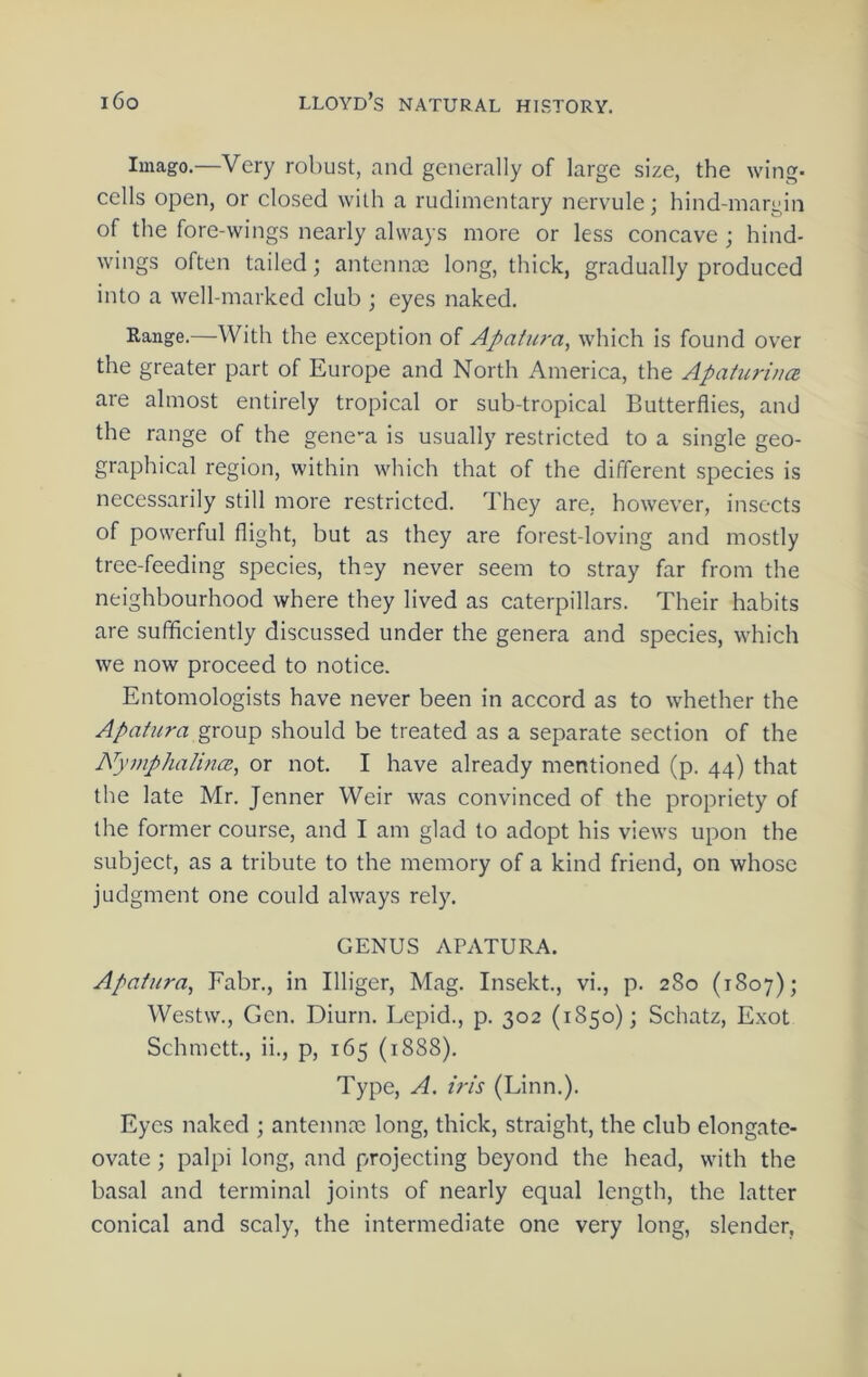 Imago.—Very robust, and generally of large size, the wing- cells open, or closed with a rudimentary nervule; hind-margin of the fore-wings nearly always more or less concave ; hind- wings often tailed; antennos long, thick, gradually produced into a well-marked club ; eyes naked. Range.—With the exception of Apatura, which is found over the greater part of Europe and North America, the Apaturina are almost entirely tropical or sub-tropical Butterflies, and the range of the gene-a is usually restricted to a single geo- graphical region, within which that of the different species is necessarily still more restricted. They are, however, insects of powerful flight, but as they are forest-loving and mostly tree-feeding species, they never seem to stray far from the neighbourhood where they lived as caterpillars. Their habits are sufficiently discussed under the genera and species, which we now proceed to notice. Entomologists have never been in accord as to whether the Apatura group should be treated as a separate section of the Aymphalince, or not. I have already mentioned (p. 44) that the late Mr. Jenner Weir was convinced of the propriety of the former course, and I am glad to adopt his views upon the subject, as a tribute to the memory of a kind friend, on whose judgment one could always rely. GENUS APATURA. Apatura, Fabr., in Illiger, Mag. Insekt., vi., p. 280 (1807); Westw., Gen. Diurn. Lepid., p. 302 (1850); Schatz, Exot Schmett., ii., p, 165 (1888). Type, A. iris (Linn.). Eyes naked ; antennae long, thick, straight, the club elongate- ovate ; palpi long, and projecting beyond the head, with the basal and terminal joints of nearly equal length, the latter conical and scaly, the intermediate one very long, slender,