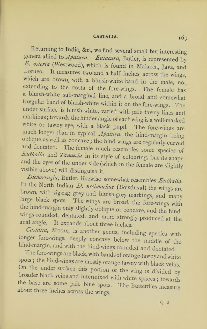 CASTALIA. Returning to India, &c., we find several small but interesting genera allied to Apatura. Eulacura, Butler, is represented by E. osteria (Westwood), which is found in Malacca, Java, and Borneo. It measures two and a half inches across the wings which are brown, with a bluish-white band in the male, not extending to the costa of the fore-wings. The female has a bluish-white sub-marginal line, and a broad and somewhat irregular band of bluish-white within it on the fore-wings. The under surface is bluish-white, varied with pale tawny lines and markings; towards the hinder angle of each wing is a well-marked white or tawny eye, with a black pupil. The fore-wings are much longer than in typical Apatura, the hind-margin being oblique as well as concave; the hind-wings are regularly curved mid dentated. The female much resembles some species of Eut/iaha and Tanaeda in its style of colouring, but its shape and the eyes of the under side (which in the female are slightly visible above) will distinguish it. Dichorragia, Butler, likewise somewhat resembles Euthalia. In the North Indian D. neswiachus (Boisduval) the wings are brown with zig-zag grey and bluish-grey markings, and many large black spots The wings are broad, the fore-wings with t e hind-margm only slightly oblique or concave, and the hind- wmp rounded, dentated, and more strongly produced at the anal angle. It expands about three inches. Castatia, Moore, is another genus, including species with longer fore-wings, deeply concave below the middle of the hind-margin, and with the hind-wings rounded and dentated The fore-wings are black, with bandsoforange-tawnyandwhite ^ots; the hind-wings are mostly orange-tawny with black veins On the under surface this portion of the wing is divided by broader black veins and intermixed with white spaces; towards the base are some pale blue spots. The Butterflies measure (Xbout three inches 3.cross the wings.