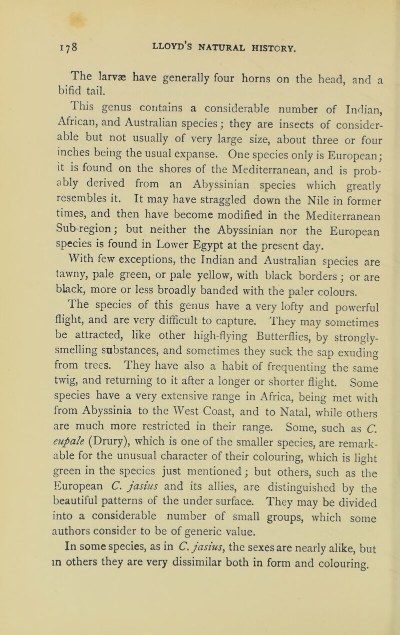 The larvae have generally four horns on the head, and a bifid tail. Ihis genus contains a considerable number of Indian, African, and Australian species j they are insects of consider- able but not usually of very large size, about three or four inches being the usual expanse. One species only is European; it is found on the shores of the Mediterranean, and is prob- ably derived from an Abyssinian species which greatly resembles it. It may have straggled down the Nile in former times, and then have become modified in the Mediterranean Sub-region; but neither the Abyssinian nor the European species is found in Lower Egypt at the present day. With few exceptions, the Indian and Australian species are tawny, pale green, or pale yellow, with black borders ; or are black, more or less broadly banded with the paler colours. The species of this genus have a very lofty and powerful flight, and are very difficult to capture. They may sometimes be attracted, like other high-flying Butterflies, by strongly- smelling substances, and sometimes they suck the sap exuding from trees. They have also a habit of frequenting the same twig, and returning to it after a longer or shorter flight. Some species have a very extensive range in Africa, being met with from Abyssinia to the West Coast, and to Natal, while others are much more restricted in their range. Some, such as C. eupah (Drury), which is one of the smaller species, are remark- able for the unusual character of their colouring, which is light green in the species just mentioned; but others, such as the European C. jasius and its allies, are distinguished by the beautiful patterns of the under surface. They may be divided into a considerable number of small groups, which some authors consider to be of generic value. In some species, as in C. jasius^ the sexes are nearly alike, but in others they are very dissimilar both in form and colouring.