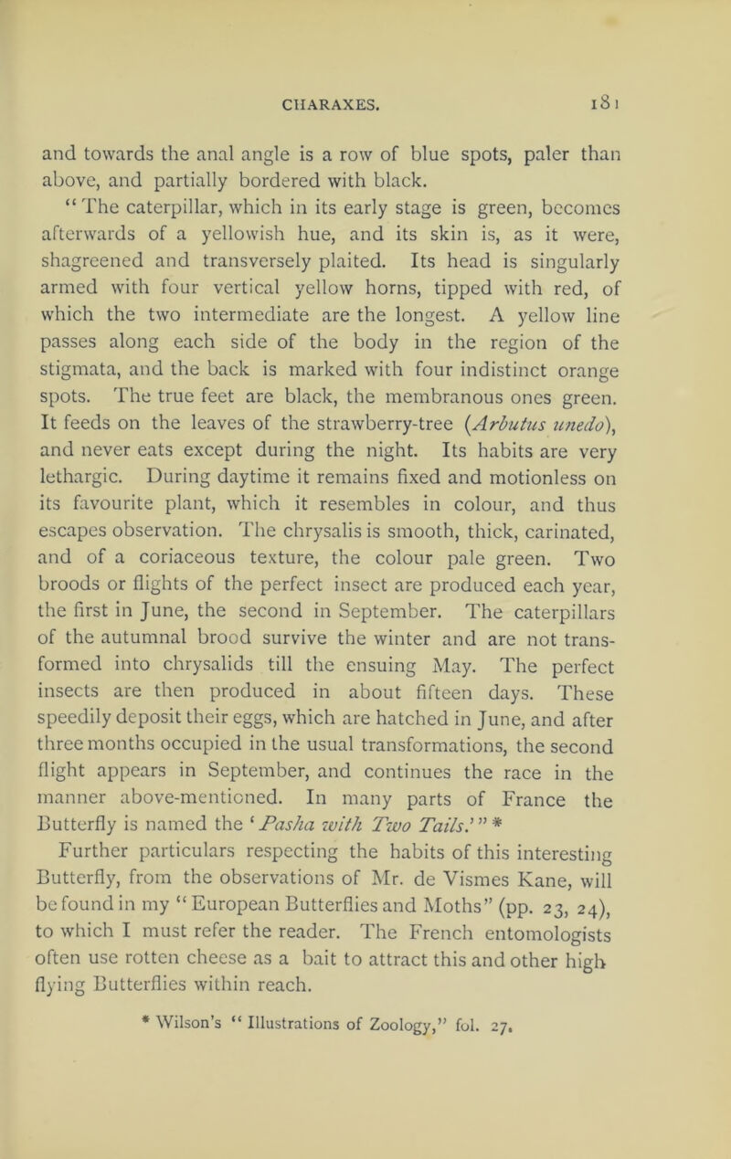 and towards the anal angle is a row of blue spots, paler than above, and partially bordered with black. “The caterpillar, which in its early stage is green, becomes afterwards of a yellowish hue, and its skin is, as it were, shagreened and transversely plaited. Its head is singularly armed with four vertical yellow horns, tipped with red, of which the two intermediate are the longest. A yellow line passes along each side of the body in the region of the stigmata, and the back is marked with four indistinct orange spots. The true feet are black, the membranous ones green. It feeds on the leaves of the strawberry-tree {Arbutus unedo), and never eats except during the night. Its habits are very lethargic. During daytime it remains fixed and motionless on its favourite plant, which it resembles in colour, and thus escapes observation. The chrysalis is smooth, thick, carinated, and of a coriaceous texture, the colour pale green. Two broods or flights of the perfect insect are produced each year, the first in June, the second in September. The caterpillars of the autumnal brood survive the winter and are not trans- formed into chrysalids till the ensuing May. The perfect insects are then produced in about fifteen days. These speedily deposit their eggs, which are hatched in June, and after three months occupied in the usual transformations, the second flight appears in September, and continues the race in the manner above-mentioned. In many parts of France the Butterfly is named the ‘ Pasha with Two Tails' ” * Further particulars respecting the habits of this interesting Butterfly, from the observations of Mr. de Vismes Kane, will be found in my “ European Butterflies and Moths” (pp. 23, 24), to which I must refer the reader. The French entomologists often use rotten cheese as a bait to attract this and other high flying Butterflies within reach. • Wilson’s “ Illustrations of Zoology,” fol. 27,