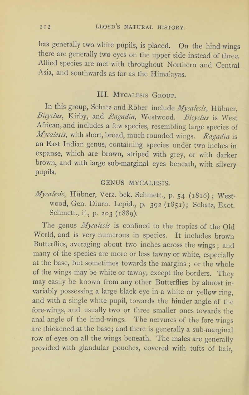 has generally two white pupils, is placed. On the hind-wings there are generally two eyes on the upper side instead of three. Allied species are met with throughout Northern and Central Asia, and southwards as far as the Himalayas. III. Mycalesis Group. In this group, Schatz and Rober include Mycalesis, Hiiljner, Bicychis, Kirby, and Ragadia, Westwood. Bicyclus is \Vest African, and includes a few species, resembling large species of Mycalesis, with short, broad, much rounded wings. Ragadia is an East Indian genus, containing species under two inches in expanse, which are brown, striped with grey, or with darker brown, and with large sub-marginal eyes beneath, with silvery pupils. GENUS MYCALESIS. Mycalesis, Hiibner, Verz. bek. Schmett., p. 54 (1816); West- wood, Gen. Diurn. Lepid., p. 392 (1851); Schatz, Exot. Schmett., ii., p. 203 (1889). The genus Mycalesis is confined to the tropics of the Old World, and is very numerous in species. It includes brown Butterflies, averaging about two inches across the wings; and many of the species are more or less tawny or white, especially at the base, but sometimes towards the margins; or the whole of the wings may be white or tawny, except the borders. They may easily be known from any other Butterflies by almost in- variably possessing a large black eye in a white or yellow ring, and with a single white pupil, towards the hinder angle of the fore-wings, and usually two or tliree smaller ones towards tlie anal angle of the hind-wings. The nervures of the fore-wings are thickened at the base; and there is generally a sub-marginal row of eyes on all the wings beneath. The males are generally provided with glandular pouches, covered wuth tufts of hair.