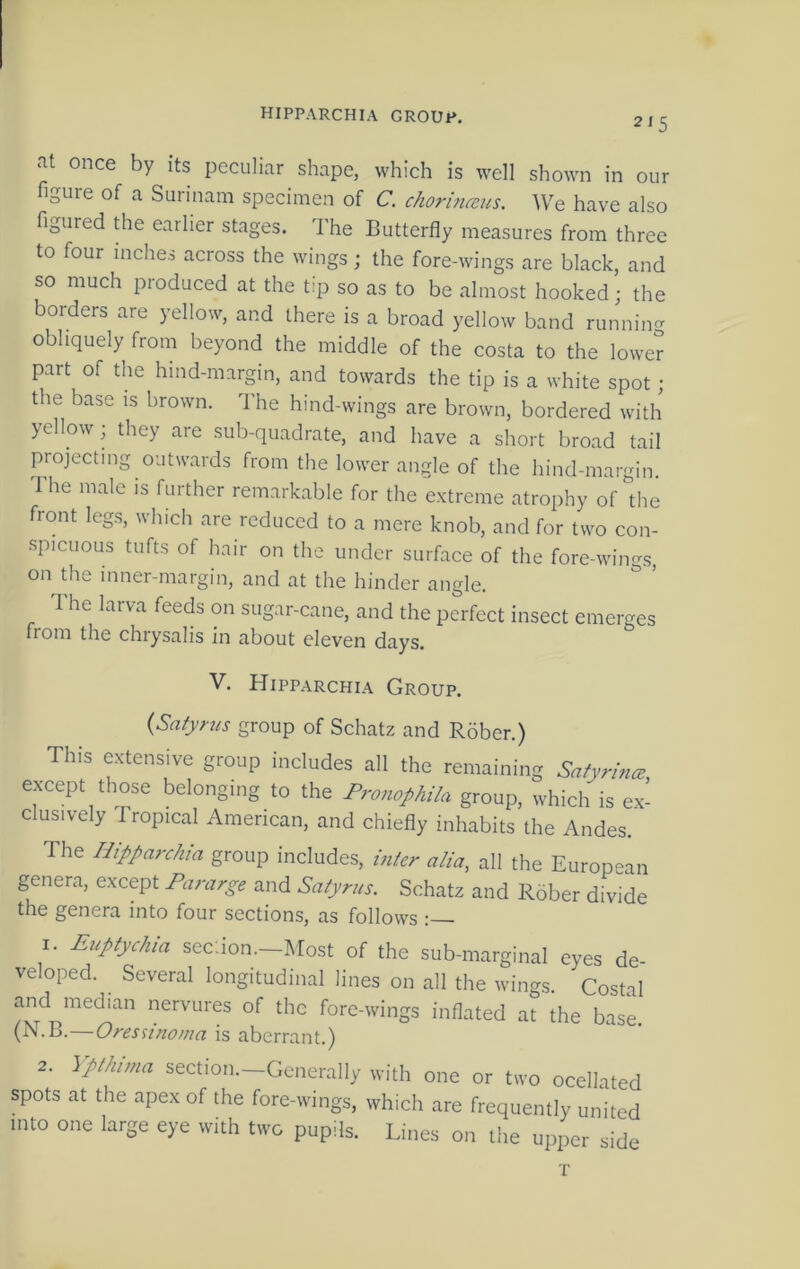 hipparchia group. 2‘5 Rt once by its peculiar shape, which is well shown in our figure of a Surinam specimen of C. chorhimis. We have also figured the earlier stages. The Butterfly measures from three to four inches across the wings ; the fore-wings are black, and so much produced at the tip so as to be almost hooked; the borders are yellow, and there is a broad yellow band runnin- obliquely from beyond the middle of the costa to the lower part of the hind-margin, and towards the tip is a white spot; the base is brown. The hind-wings are brown, bordered with yellow; they are sub-quadrate, and have a short broad tail projecting outwards from the lower angle of the hind-margin. Ihe male is further remarkable for the extreme atrophy of the front legs, which are reduced to a mere knob, and for two con- spicuous tufts of hair on the under surface of the fore-win<rs, on the inner-margin, and at the hinder angle. The larva feeds on sugar-cane, and the perfect insect emerges from the chrysalis in about eleven days. V. Hipp.archia Group. {Satyrus group of Schatz and Rober.) This extensive group includes all the remaining SatyrincB except those belonging to the Projiophila group, which is ex- clusively Tropical American, and chiefly inhabits the Andes. The Hipparchia group includes, inter alia, all the European genera, except Pararge and Satyrus. Schatz and Rober divide the genera into four sections, as follows 1. Euptychia seeJon.-Afost of the sub-marginal eyes de- veloped. Several longitudinal lines on all the wings. Costal and median nervures of the fore-wings inflated at the base (N.B.—Oressino/na is aberrant.) 2. ypthima section.-Generally with one or two oeellated spots at the apex of the fore-wings, which are frequently united into one large eye with two pupils. Lines on the upper side T