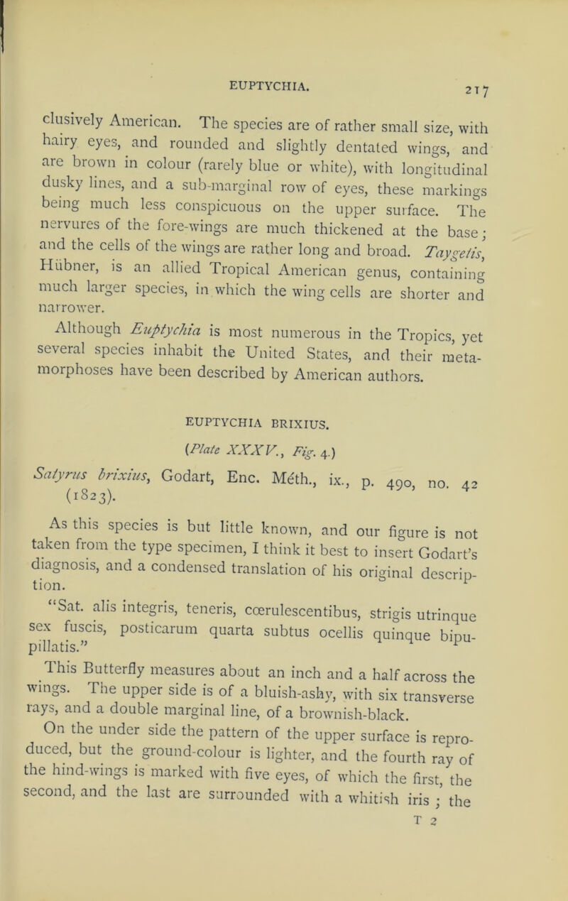 EUPTYCHIA. 217 ckisively American. The species are of rather small size, with hairy eyes, and rounded and slightly dentated wings, and are brown in colour (rarely blue or white), with longitudinal dusky lines, and a sub-marginal row of eyes, these markings being much less conspicuous on the upper surface. The neivLires of the fore-wings are much thickened at the base; and the cells of the wings are rather long and broad. Taygeiis, Hubner, is an allied Tropical American genus, containing much larger species, in which the wing cells are shorter and narrower. Although Euptychia is most numerous in the Tropics, yet several species inhabit the United States, and their meta- morphoses have been described by American authors. EUPTYCHIA BRIXIUS, (Plate XXXV., Fig. 4.) Saiyrus brixius, Godart, Enc. Meth., ix., p. 490, no. 42 (1823). As this species is but little known, and our figure is not taken from the type specimen, I think it best to insert Godart’s diagnosis, and a condensed translation of his original descrip- tion. ^ “Sat. ahs integris, teneris, coerulescentibus, strigis utrinque sex fuscis, posticarum quarta subtus ocellis quinque bipu- pillatis.” ^ This Butterfly measures about an inch and a half across the wings. The upper side is of a bluish-ashy, with six transverse rays, and a double marginal line, of a brownish-black. On the under side the pattern of the upper surface is repro- duced, but the ground-colour is lighter, and the fourth ray of the hind-wings is marked with five eyes, of which the first, the second, and the last are surrounded with a whitish iris ; the