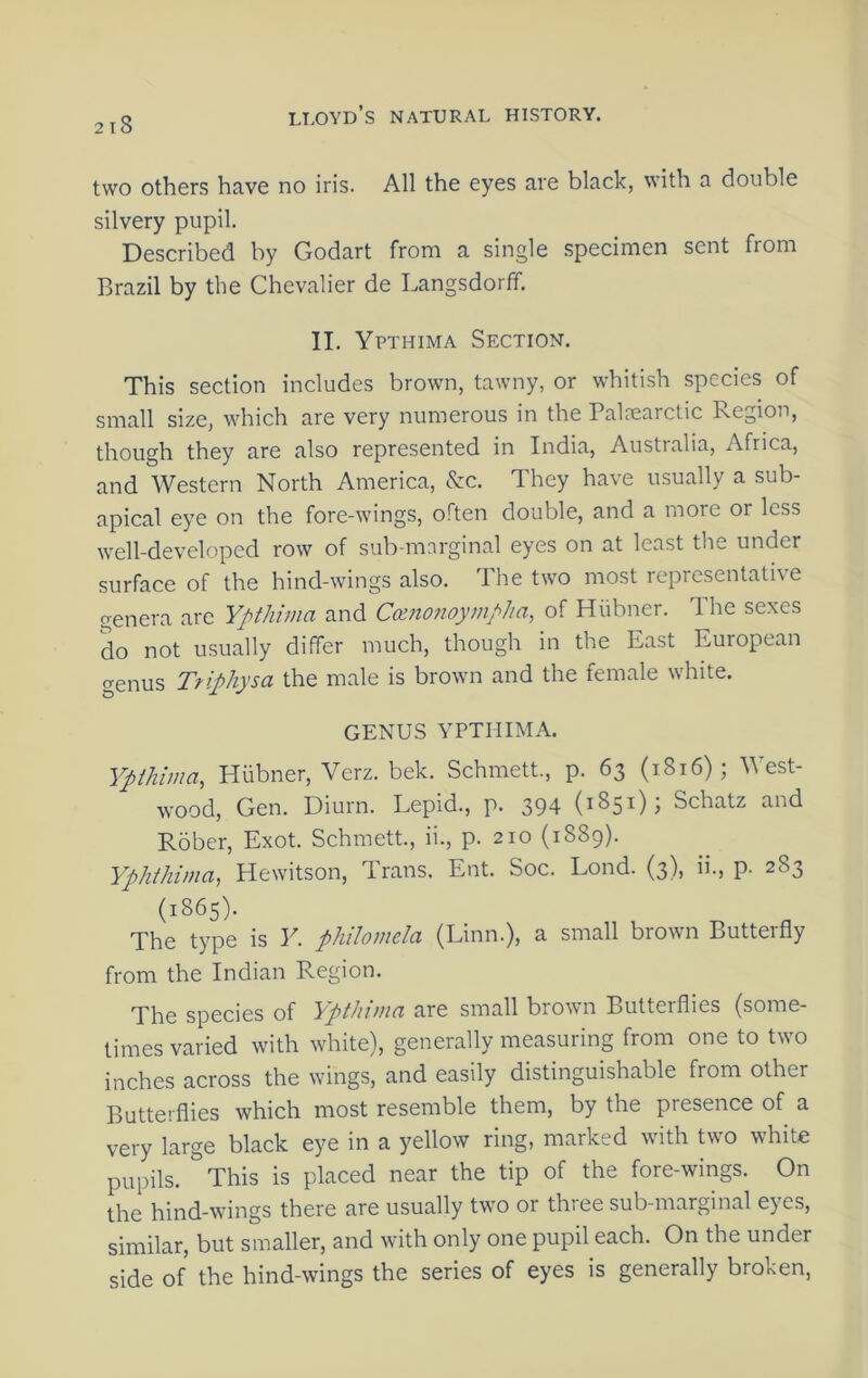 218 two others have no iris. All the eyes are black, with a double silvery pupil. Described by Godart from a single specimen sent from Brazil by the Chevalier de Langsdorff. II. Ypthima Section. This section includes brown, tawny, or whitish species of small size, which are very numerous in the Palrearctic Region, though they are also represented in India, Australia, Africa, and Western North America, &c. They have usually a sub- apical eye on the fore-wings, often double, and a more or less well-developed row of siib-msrginal eyes on at least the under surface of the hind-wings also. The two most representative genera are Ypthima and Cmtonoympha, of Hiibner. The sexes do not usually differ much, though in the East European genus Triphysa the male is brown and the female white. GENUS YPTHIMA. Ypthima, Hubner, Verz. bek. Schmett., p. 63 (1816); West- wood, Gen. Diurn. Lepid., p. 394 (1851); Schatz and Rober, Exot. Schmett., ii., p. 210 (1889). Yphthima, Hewitson, Trans. Ent. Soc. Lond. (3), ii., p. 283 (1865). The type is F. philomela (Linn.), a small brown Butterfly from the Indian Region. The species of Ypthima are small brown Butterflies (some- times varied with white), generally measuring from one to two inches across the wings, and easily distinguishable from other Butterflies which most resemble them, by the presence of a very large black eye in a yellow ring, marked with two white pupils. This is placed near the tip of the fore-wings. On the hind-wings there are usually two or thiee sub-marginal eyes, similar, but smaller, and with only one pupil each. On the under side of the hind-wings the series of eyes is generally broken,