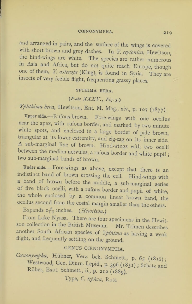 CCENONYMPHA. And Arranged in pairs, and the surface of the wings is covered with shoit brown and grey dashes. In K ceylonica, Hewitson, the hmd-wings are white. The species are rather numerous in Asia and Africa, but do not quite reach Europe, though one of them, K asterope (Klug), is found in Syria. They are insects of very feeble flight, frequenting grassy places. YPTHIMA BERA. {P.ate AAAfE., 3.) Vpmirna bera, Hewitson, Ent. M. Mag., xiv., p. 107 (1877). Upper side. Rufous-brown. Fore-wings with one ocellus near the apex, with rufous border, and marked by two minute white spots, and enclosed in a large border of pale brown, triangular at its lower extremity, and zig-zag on its inner side.’ A sub-marginal line of brown. Hind-wings with two ocelli between the median nervules, a rufous border and white pupil; two sub-marginal bands of brown. ’’ Uader side.—Fore-wings as above, except that there is an indistinct band of brown crossing the cell. Hind-wings with a band of brown before the middle, a sub-marginal‘s series of five black ocelli, with a rufous border and pupil of white the whole enclosed by a common linear brown band, the ocellus second from the costal margin smaller than the others. Expands i/jj inches. {Hewitson.) Irom Lake Nyasa. There are four specimens in the Hewit- son collection in the British Museum. Mr. Trimen describes another South African species of Ypthima as having a weak flight, and frequently settling on the ground. GENUS CCENONYMPHA. Canonympha, Hiibner, Verz. bek. Schmett., p. 65 (1816) • Westwood, Gen. Diurn. Lepid., p. 396 (1851); Schatz and Rober, Exot. Schmett., ii., p. 212 (1889). Type, C. tiphcn, Rott.