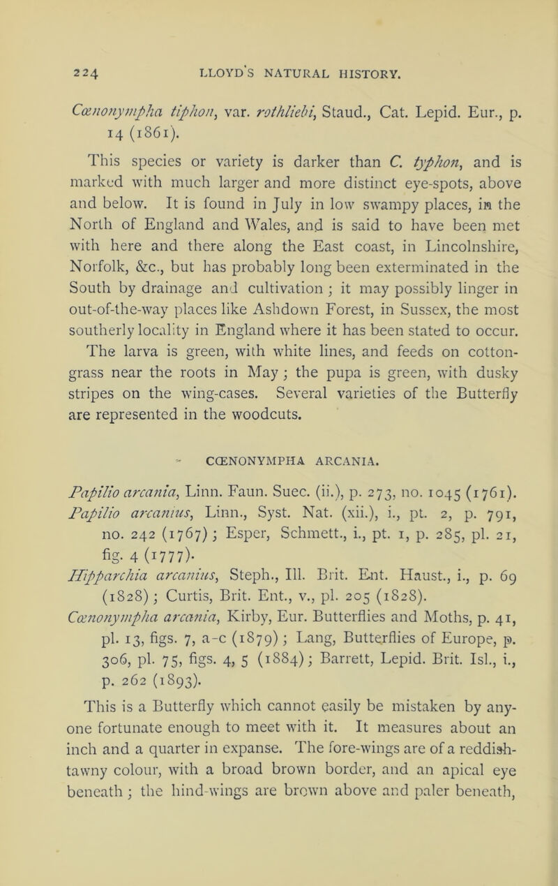 Canonympha tiphon, var. rothliebi, Staud., Cat. Lepid. Eiir., p. 14 (1861). This species or variety is darker than C. typho7i, and is marked with much larger and more distinct eye-spots, above and below. It is found in July in low swampy places, in the North of England and Wales, and is said to have been met with here and there along the East coast, in Lincolnshire, Norfolk, &c., but has probably long been exterminated in the South by drainage and cultivation ; it may possibly linger in out-of-the-way places like Ashdown Forest, in Sussex, the most southerly locality in England where it has been stated to occur. The larva is green, with white lines, and feeds on cotton- grass near the roots in May; the pupa is green, with dusky stripes on the wing-cases. Several varieties of the Butterfly are represented in the woodcuts. CCENONYMPHA ARCANIA. Papilio arcania^ Linn. Faun. Suec. (ii.), p. 273, no. 1045 (i7di)- Fapilio a?rafmis, Linn., Syst. Nat. (xii.), i., pi. 2, p. 791, no. 242 (1767); Esper, Schmett., i., pt. i, p. 285, pi. 21, fig- 4 (1777)- Hipparchia arcaniiis, Steph., 111. Brit. Ent. Haust., i., p. 69 (1828); Curtis, Brit. Ent., v., pi. 205 (1828). Comonyinpha arcania, Kirby, Eur. Butterflies and Moths, p. 41, pi. 13, figs. 7, a-c (1879); Lang, Butterflies of Europe, p. 306, pi. 75, figs. 4, 5 (1884); Barrett, Lepid. Brit. Isl., i., p. 262 (1893). This is a Butterfly which cannot easily be mistaken by any- one fortunate enough to meet with it. It measures about an inch and a quarter in expanse. The fore-wings are of a reddish- tawny colour, with a broad brown border, and an apical eye beneath; the hind-wings are brown above and paler beneath,