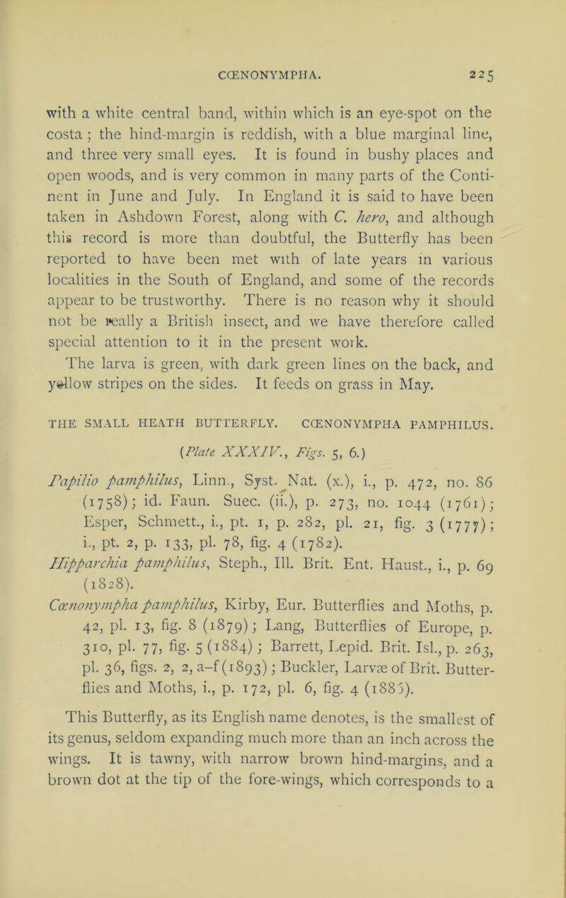 with a white central band, within which is an eye-spot on the costa ; the hind-margin is reddish, with a blue marginal line, and three very small eyes. It is found in bushy places and open woods, and is very common in many parts of the Conti- nent in June and July. In England it is said to have been taken in Ashdown Forest, along with C hero^ and although this record is more than doubtful, the Butterfly has been reported to have been met with of late years m various localities in the South of England, and some of the records appear to be trustworthy. There is no reason why it should not be peally a British insect, and we have therefore called special attention to it in the present woik. The larva is green, with dark green lines on the back, and yellow stripes on the sides. It feeds on grass in May. THE SMALL HEATH BUTTERFLY. CCENONYMPHA PAMPHILUS. {Plate XXXIV., Figs. 5, 6.) Papilio pamphilus, Linn., Syst. Nat. (x.), i., p. 472, no. 86 (1758); id. Faun. Suec. (ii.), p. 273, no. 1044 (1761); Esper, Schmett., i., pt. i, p. 282, pi. 21, fig. 3 (1777); i., pt. 2, p. 133, pi. 78, fig. 4 (1782). Hipparchia pamphilus, Steph., 111. Brit. Ent. Haust., i., p. 69 (1828). Catjwnympha pamphilus, Kirby, Eur. Butterflies and Moths, p. 42, pi. 13, fig. 8 (1879); Lang, Butterflies of Europe, p. 310, pi. 77, fig. 5 (1884); Barrett, Lepid. Brit. Isl., p. 263, pi. 36, figs. 2, 2, a-f(i893); Buckler, Larvte of Brit. Butter- flies and Moths, i., p. 172, pi. 6, fig. 4 (1883). This Butterfly, as its English name denotes, is the smallest of its genus, seldom expanding much more than an inch across the wings. It is tawny, with narrow brown hind-margins, and a brown dot at the tip of the fore-wings, which corresponds to a