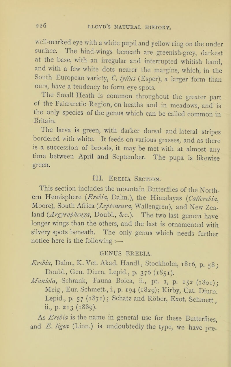 well-marked eye with a white pupil and yellow ring on the under surface. The hind-wings beneath are greenish-grey, darkest at the base, with an irregular and interrupted whitish band, and with a few white dots nearer the margins, which, in the South European variety, C lyllus (Esper), a larger form than ours, have a tendency to form eye-spots. The Small Eleath is common throughout the greater part of the Palacarctic Region, on heaths and in meadows, and is the only species of the genus which can be called common in Britain. The larva is green, with darker dorsal and lateral stripes bordered with white. It feeds on various grasses, and as there is a succession of broods, it may be met with at almost any time between April and September. The pupa is likewise green. III. Erebia Section. This section includes the mountain Butterflies of the North- ern Hemisphere (Eredia, Dalm.), the Himalayas {Callerebia, Moore), South Africa {Leptoneura, VVallengren), and New Zea- land {Argyrophenga, Doubl, &c.). The two last genera have longer wings than the others, and the last is ornamented with silvery spots beneath. The only genus which needs further notice here is the following :— GENUS EREBIA. Erebia, Dalm., K. Vet. Akad. Hand!., Stockholm, i8i6, p. 58; Doubl., Gen. Diurn. Lepid., p. 376 (1851). Maniola, Schrank, Eauna Boica, ii., pt. i, p. 152 (1801) • Meig., Eur. Schmett., i., p. 194 (1829); Kirby, Cat. Diunn Lepid., p. 57 (1871); Schatz and Rober, Exot. Schmett, ii., p. 213 (1889). As Erebia is the name in general use for these Butterflies and E. ligea (Linn.) is undoubtedly the type, we have pre-