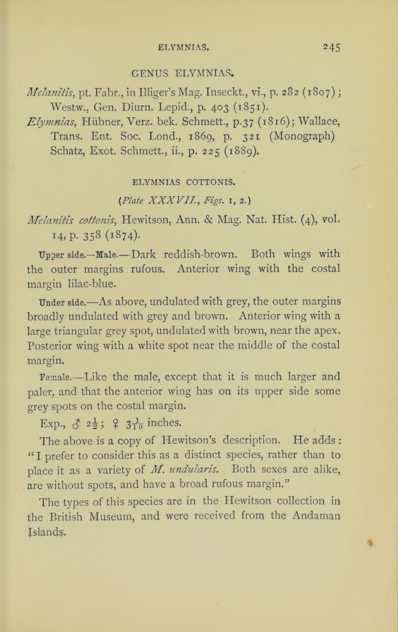 GENUS ELYMNIAS. Melanitis, pt. Fabr., in Illiger’s Mag. Inseckt., vi., p. 282 (1807); Westw., Gen. Diurn. Lepid., p. 403 (1851). Elymnias, Hiibner, Verz. bek. Schmett., p.37 (1816); Wallace, Trans. Ent. Soc. Lend., 1869, p. 321 (Monograph) Schatz, E.xot. Schmett., ii., p. 225 (1889). ELYMNIAS COTTONIS. {Plate XXXVII, Pigs, i, 2.) Melanitis cottonis, Hewitson, Ann. & Mag. Nat. Hist. (4), vol. 14, P- 35S (1874). Upper side.—Male.—Dark reddish-brown. Both wings with the outer margins rufous. Anterior wing with the costal margin lilac-blue. Under side.—As above, undulated with grey, the outer margins broadly undulated with grey and brown. Anterior wing with a large triangular grey spot, undulated with brown, near the apex. Posterior wing with a white spot near the middle of the costal margin. Female.—Like the male, except that it is much larger and paler, and that the anterior wing has on its upper side some grey spots on the costal margin. Exp., 2i; ? 3yV inches. The above is a copy of Hewitson’s description. He adds : “ I prefer to consider this as a distinct species, rather than to place it as a variety of M. undularis. Both sexes are alike, are without spots, and have a broad rufous margin.” The types of this species are in the Hewitson collection in the British Museum, and were received from the Andaman Islands. 4