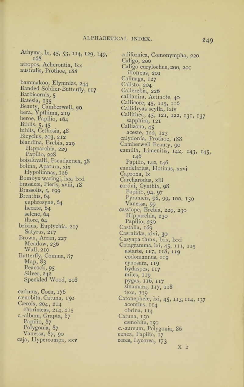 Athyma, lx, 45, 53, 114, 129, 149, 168 atropos, Acherontia, Ixx australis, Prothoe, 188 bammakoo, Elymnias, 244 Banded Soldier-Butterfly, 117 Barbicornis, 5 Batesia, 135 Beauty, Camberwell, 90 bera, Ypthima, 219 beroe, Bapilio, 164 Biblis, 5, 45 biblis, Cethosia, 48 Bicyclus, 203, 212 blandina, Erebia, 229 Ilipparchia, 229 Papilio, 228 boisduvalli, Pseudacraea, 38 bolina, Apatura, xix Ilypolimnas, 126 Bombyx waringl, Ixx, Ixxi brassiere, Pieris, xviii, 18 Brassolis, 5, 199 Brenthis, 64 euphrosyne, 64 hecate, 64 selene, 64 there, 64 brixius, Euptychia, 217 Satyrus, 217 Brown, Arran, 227 Meadow, 236 Wall, 210 Butterfly, Comma, 87 Map, 83 Peacock, 95 Silver, 242 Speckled Wood, 20S Cadmus, Coea, 176 emnobita, Catuna, 150 Cmrois, 204, 214 chorinaeus, 214, 215 c.-album, Grapta, 87 Papilio, 87 Polygonia, 87 Vanessa, 87, 90 caja, Ilypercompa, xxv californica, Cocnonympha, 220 Caligo, 200 Caligo eurylochus, 200, 201 ilioneus, 20i Calinaga, 127 Calisto, 204 Callerebia, 226 callianira, Actinote, 40 Callicore, 45, 115, 116 Callidryas scylla, Ixiv Callithea, 45, 121, 122, 131, 137 sapphira, 121 Callizona, 45 aceste, 122, 123 calydonia, Prothoe, 1S8 Camberwell Beauty, 90 Camilla, Limenitis, 142, 143, 145, 146 Papilio, 142, 146 candelarius, llotinus, xxvi Caprona, lx Carcharodus, xlii cardui, Cynthia, 98 Papilio, 94, 97 Pyrameis, 98, 99, 100, 150 Vanessa, 99 cassiope, Erebia, 229, 230 Plipparchia, 230 Papilio, 230 Castalia, 169 Castniidee, xlvi, 30 Casyapa thrax, Ixix, Ixxi Catagramma, Ixi, 45, in, 115 astarte, 117, 118, 119 codomannus, 119 cynosura, 119 hydaspes, 117 miles, 119 pygas, 116, 117 sinamara, 117, 118 texa, 119 Catonephele, Ixi, 45, 113,114, 137 acontius, 114 obrina, 114 Catuna, 150 cienobita, 150 c.-aureum, Polygonia, 86 cenea, Papilio, 17 ceres, Lycorea, 173 X 2