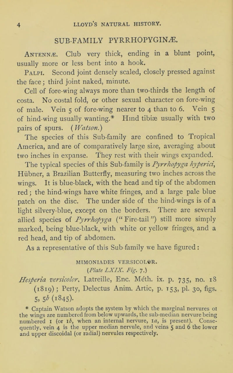 SUB-FAMILY PYRRHOPYGINAL Antennae. Club very thick, ending in a blunt point, usually more or less bent into a hook. Palpi. Second joint densely scaled, closely pressed against the face; third joint naked, minute. Cell of fore-wing always more than two-thirds the length of costa. No costal fold, or other sexual character on fore-wing of male. Vein 5 of fore-wing nearer to 4 than to 6. Vein 5 of hind-wing usually wanting.* Hind tibiae usually with two pairs of spurs. ( Watson.) The species of this Sub-family are confined to Tropical America, and are of comparatively large size, averaging about two inches in expanse. They rest with their wings expanded. The typical species of this Sub-family is Pyrrhopyga hyperici, Htibner, a Brazilian Butterfly, measuring two inches across the wings. It is blue-black, with the head and tip of the abdomen red; the hind-wings have white fringes, and a large pale blue patch on the disc. The under side of the hind-wings is of a light silvery-blue, except on the borders. There are several allied species of Pyrrhopyga (“ Fire-tail ”) still more simply marked, being blue-black, with white or yellow fringes, and a red head, and tip of abdomen. As a representative of this Sub family we have figured: mimoniades versicolor. (Plate LXIX. Fig. 7.) Hesperia versicolor. Latreille, Enc. Meth. ix. p. 735, no. 18 (1819); Perty, Delectus Anim. Artie, p. t53, pi. 30, figs. 5> 5b (i845)- * Captain Watson adopts the system by which the marginal nervures ot the wings are numbered from below upwards, the sub-median nervure being numbered I (or id, when an internal nervure, 1 a, is present). Conse- quently, vein 4 is the upper median nervule, and veins 5 and 6 the lower and upper discoidal (or radial) nervules respectively.