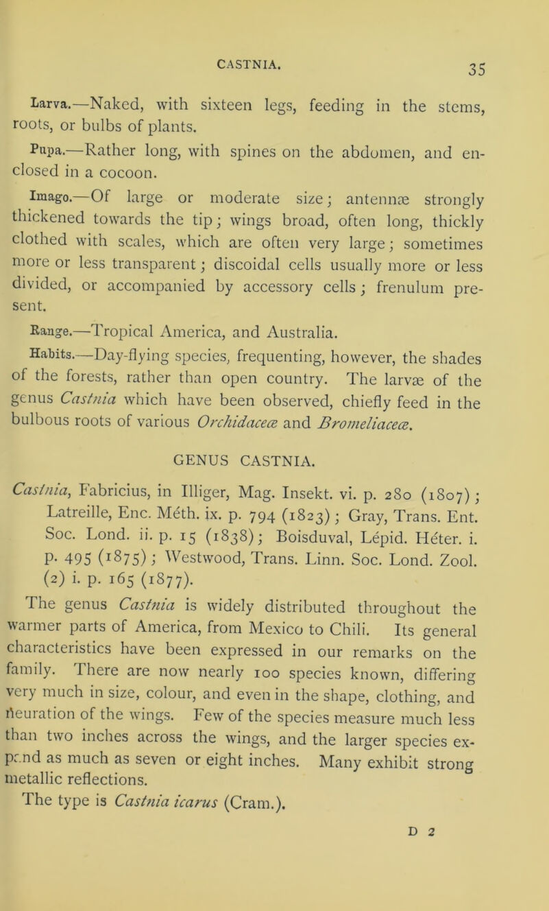 Larva.—Naked, with sixteen legs, feeding in the stems, roots, or bulbs of plants. Pupa.—Rather long, with spines on the abdomen, and en- closed in a cocoon. Imago.—Of large or moderate size; antennae strongly thickened towards the tip; wings broad, often long, thickly clothed with scales, which are often very large; sometimes more or less transparent; discoidal cells usually more or less divided, or accompanied by accessory cells; frenulum pre- sent. Kange.—Tropical America, and Australia. Habits.—Day-flying species, frequenting, however, the shades of the forests, rather than open country. The larvae of the genus Castnia which have been observed, chiefly feed in the bulbous roots of various Orchidacece and Bromeliacecc. GENUS CASTNIA. Castnia, Fabricius, in Illiger, Mag. Insekt. vi. p. 280 (1807); Latreille, Enc. Meth. ix. p. 794 (1823); Gray, Trans. Ent. Soc. Lond. ii. p. 15 (1838); Boisduval, Lepid. Heter. i. P- 495 (1875); Westwood, Trans. Linn. Soc. Lond. Zool. (2) i. p. 165 (1877). The genus Castnia is widely distributed throughout the warmer parts of America, from Mexico to Chili. Its general characteristics have been expressed in our remarks on the family. There are now nearly 100 species known, differing very much in size, colour, and even in the shape, clothing, and rteuration of the wings. Few of the species measure much less than two inches across the wings, and the larger species ex- pend as much as seven or eight inches. Many exhibit strong metallic reflections. The type is Castnia icarus (Cram.). d 2