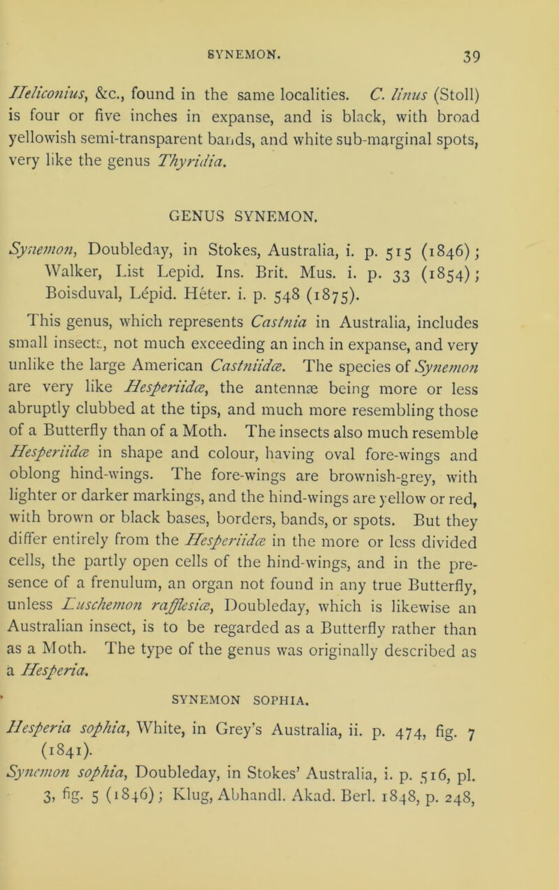 Ileiiwiius, &c., found in the same localities. C. linus (Stoll) is four or five inches in expanse, and is black, with broad yellowish semi-transparent bands, and white sub-marginal spots, very like the genus ThyriJia. GENUS SYNEMON. Synemon, Doubleday, in Stokes, Australia, i. p. 515 (1846); Walker, List Lepid. Ins. Brit. Mus. i. p. 33 (1854); Boisduval, Lepid. Heter. i. p. 548 (1875). This genus, which represents Cas/nia in Australia, includes small insects, not much exceeding an inch in expanse, and very unlike the large American Castniidce. The species of Synemon are very like Hesperiidce, the antennae being more or less abruptly clubbed at the tips, and much more resembling those of a Butterfly than of a Moth. The insects also much resemble Hesperiidce in shape and colour, having oval fore-wings and oblong hind-wings. The fore-wings are brownish-grey, with lighter or darker markings, and the hind-wings are yellow or red, with brown or black bases, borders, bands, or spots. But they differ entirely from the Hesperiidce in the more or less divided cells, the partly open cells of the hind-wings, and in the pre- sence of a frenulum, an organ not found in any true Butterfly, unless Luschernon rafflesice, Doubleday, which is likewise an Australian insect, is to be regarded as a Butterfly rather than as a Moth. The type of the genus was originally described as a Hesperia. SYNEMON SOPHIA. Hesperia sop/iia, White, in Grey’s Australia, ii. p. 474, fig. 7 (1841). Synemon sophia, Doubleday, in Stokes’ Australia, i. p. 516, pi. 3, fig. 5 (1846); Klug, Abhandl. Akad. Berl. 1848, p. 248,