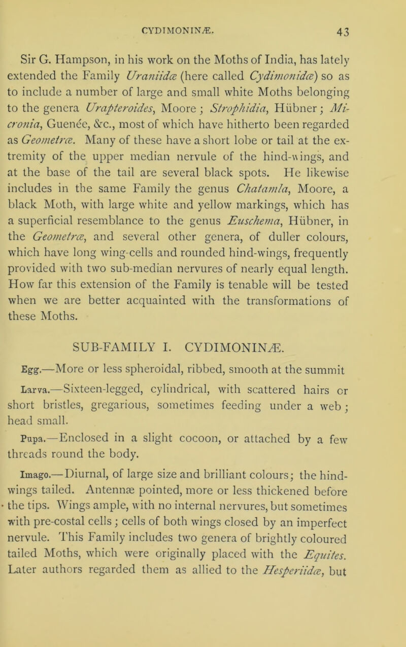 Sir G. Hampson, in his work on the Moths of India, has lately extended the Family Uraniidce (here called Cydimonidce) so as to include a number of large and small white Moths belonging to the genera Urapteroides, Moore; Strophidia, Hiibner; Mi- cronia, Guende, &c., most of which have hitherto been regarded as Geometrce. Many of these have a short lobe or tail at the ex- tremity of the upper median nervule of the hind-wings, and at the base of the tail are several black spots. He likewise includes in the same Family the genus Chat am la, Moore, a black Moth, with large white and yellow markings, which has a superficial resemblance to the genus Euschema, Hiibner, in the Geometra, and several other genera, of duller colours, which have long wing-cells and rounded hind-wings, frequently provided with two sub-median nervures of nearly equal length. How far this extension of the Family is tenable will be tested when we are better acquainted with the transformations of these Moths. SUB-FAMILY I. CYDIMONINYE. Egg.—More or less spheroidal, ribbed, smooth at the summit Larva.—Sixteen-legged, cylindrical, with scattered hairs or short bristles, gregarious, sometimes feeding under a web ; head small. Pupa.—Enclosed in a slight cocoon, or attached by a few threads round the body. Imago.— Diurnal, of large size and brilliant colours; the hind- wings tailed. Antennae pointed, more or less thickened before • the tips. Wings ample, with no internal nervures, but sometimes with pre-costal cells ; cells of both wings closed by an imperfect nervule. This Family includes two genera of brightly coloured tailed Moths, which were originally placed with the Equites. Later authors regarded them as allied to the Hesperiidce, but