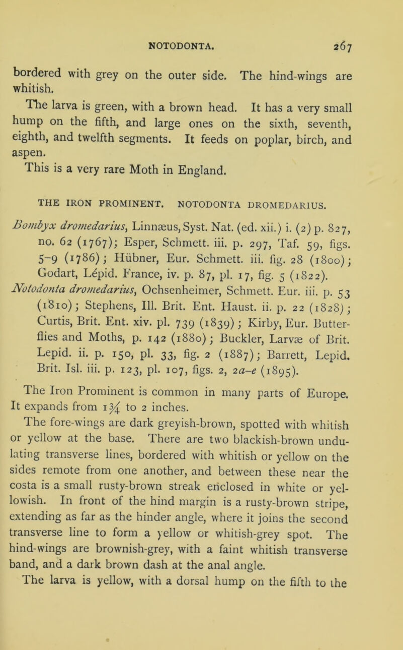 bordered with grey on the outer side. The hind-wings are whitish. The larva is green, with a brown head. It has a very small hump on the fifth, and large ones on the sixth, seventh, eighth, and twelfth segments. It feeds on poplar, birch, and aspen. This is a very rare Moth in England. THE IRON PROMINENT. NOTODONTA DROMEDARIUS. Bombyx dromedarius, Linnaeus, Syst. Nat. (ed. xii.) i. (2) p. 827, no. 62 (1767); Esper, Schmett. iii. p. 297, Taf. 59, figs. 5-9 (1786); Hiibner, Eur. Schmett. iii. fig. 28 (1800); Godart, Lepid. France, iv. p. 87, pi. 17, fig. 5 (1822). Noiodonta dromedarius, Ochsenheimer, Schmett. Eur. iii. p. 53 (1810); Stephens, 111. Brit. Ent. Haust. ii. p. 22 (1828); Curtis, Brit. Ent. xiv. pi. 739 (1839); Kirby, Eur. Butter- flies and Moths, p. 142 (1880); Buckler, Larvae of Brit. Lepid. ii. p. 150, pi. 33, fig. 2 (1887); Barrett, Lepid. Brit. Isl. iii. p. 123, pi. 107, figs. 2, 2a-e (1895). The Iron Prominent is common in many parts of Europe. It expands from 1^ to 2 inches. The fore-wings are dark greyish-brown, spotted with whitish or yellow at the base. There are two blackish-brown undu- lating transverse lines, bordered with whitish or yellow on the sides remote from one another, and between these near the costa is a small rusty-brown streak enclosed in white or yel- lowish. In front of the hind margin is a rusty-brown stripe, extending as far as the hinder angle, where it joins the second transverse line to form a yellow or whitish-grey spot. The hind-wings are brownish-grey, with a faint whitish transverse band, and a dark brown dash at the anal angle. The larva is yellow, with a dorsal hump on the fifth to the