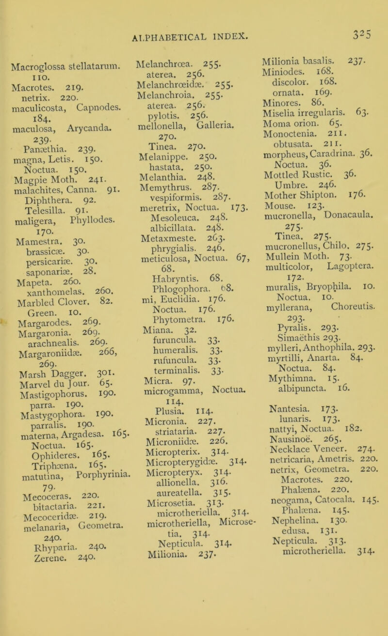 Macroglossa stellatarum. no. Macrotes. 219. netrix. 220. maculicosta, Capnodes. 184. maculosa, Arycanda. 239- Pancethia. 239. magna, Letis. 150. Noctua. 150. Magpie Moth. 241. malachites, Canna. 91. Diphthera. 92. Telesilla. 91. maligera, Phyllodes. 170. Mamestra. 30. brassicse. 30. persicarije. 30. saponarioe. 28. Mapeta. 260. xanthomelas. 260. Marbled Clover, 82. Green. lo. Margarodes. 269. Margaronia. 269. arachnealis. 269. MargaroniidK. 266, 269. Marsh Dagger. 301. Marvel du Jour. 65. Mastigophorus, 190. parra. I9°- Mastygophora. I9°‘ parralis. 190- materna, Argadesa. 165. Noctua. 165. Ophideres. 165. Triphcena. 165. matutina, Porphyrinia. 79- Mecoceras. 220. bitactaria. 221. Mecoccridse. 219. melanaria, Gcometra. 240. Rhyparia. 240. Zerene. 240. Melanchroea. 255. aterea. 256. Melanchroeidje. 255. Melanchroia. 255. aterea. 256. pylotis. 256. mellonella. Galleria. 270. Tinea. 270. Melanippe. 250. hastata. 250. Melanthia. 248. Memythrus. 287. vespiformis. 287. meretrix, Noctua. 173. Mesoleuca. 24S. albicillata. 248. Metaxmeste. 263. phrygialis. 246. meticulosa, Noctua. 67, 68. Habryntis. 68. Phlogophora. (^8, mi, Euclidia. 176. Noctua. 176. Phytometra. 176. Miana. 32. furuncula. 33. humeralis. 33. rufuncula. 33. terminalis. 33. Micra. 97. microgamma, Noctua. 114. Plusia. II4. Micronia. 227. striataria. 227. Microniidce. 226, Micropterix. 314- Micropterygidre. 3I4> Micropteryx. 314. allionella. 316. aureatella. 315- Microsetia. 3I3- microtheriella. 314- microtheriella, Microse- tia. 314- Nepticula. 314. Milionia. 237. Milionia basalis. 237. Miniodes. 168. discolor. 168. ornata. 169. Minores. 86. Miselia irregularis. 63. Moma orion. 65. Monoctenia. 211. obtusata. 211. morpheus, Caradrina. 36. Noctua. 36. Mottled Rustic. 36. Umbre. 246. Mother Shipton. 176. Mouse. 123. mucronella, Donacaula. 275- Tinea. 275. mucronellus, Chilo. 275. Mullein Moth. 73. multicolor, Lagoptera. 172. muralis, Bryophila. 10. Noctua. 10. myllerana, Choreutis. 293. Pyralis. 293. Simaethis 293. mylleri, Anthophila. 293. myrtilli, Anarta. 84. Noctua. 84. Mythimna. 15- albipuncta. 16. Nantesia. 173. lunaris. 173. nattyi, Noctua. 182. Nausinoe. 265. Necklace Veneer. 274. netricaria, Ametris. 220. netrix, Geometra. 220. Macrotes. 220. Phalsena. 220, neogama, Catocala. 145. Phalcena. 145. Nephelina. 130. edusa. 131. Nepticula. 313. microtheriella. 314.