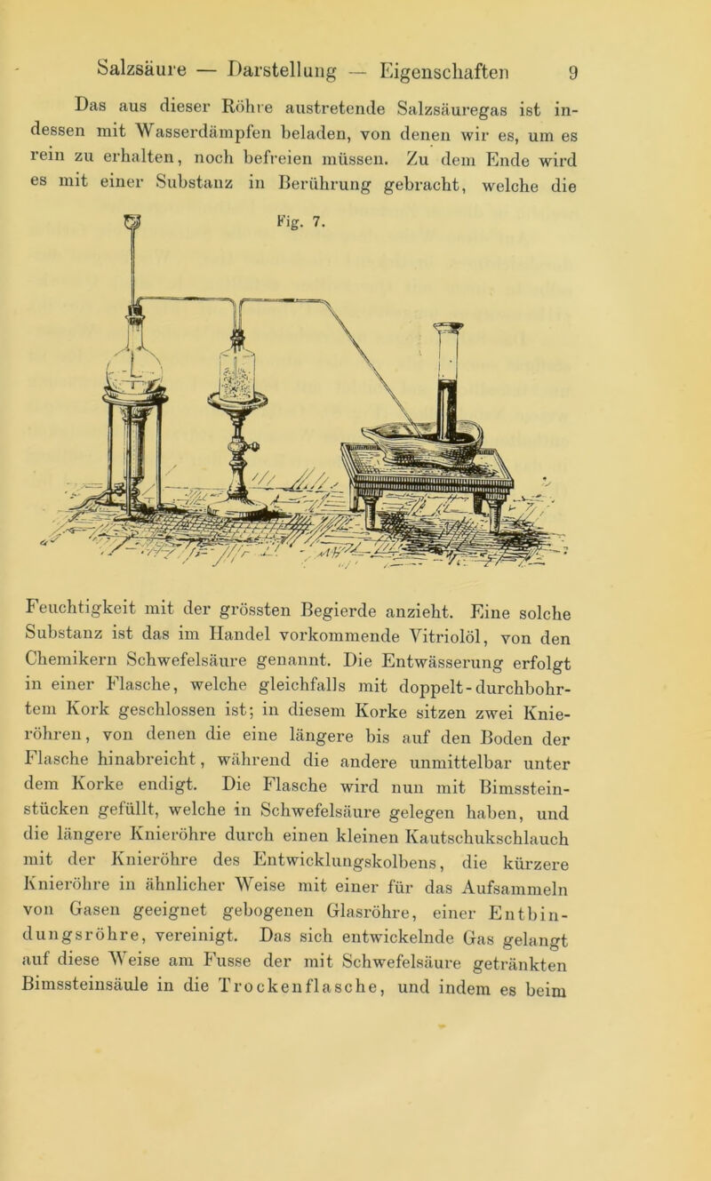 Das aus dieser Röhre austretende Salzsäuregas ist in- dessen mit Wasserdämpfen beladen, von denen wir es, um es rein zu erhalten, noch befreien müssen. Zu dem Ende wird es mit einer Substanz in Berührung gebracht, welche die Feuchtigkeit mit der grössten Begierde anzieht. Eine solche Substanz ist das im Handel vorkommende Vitriolöl, von den Chemikern Schwefelsäure genannt. Die Entwässerung erfolgt in einer Masche, welche gleichfalls mit doppelt-durchbohr- tem Kork geschlossen ist; in diesem Korke sitzen zwei Knie- röhren, von denen die eine längere bis auf den Boden der Flasche hinabreicht, während die andere unmittelbar unter dem Korke endigt. Die Flasche wird nun mit Bimsstein- stücken gefüllt, welche in Schwefelsäure gelegen haben, und die längere Knieröhre durch einen kleinen Kautschukschlauch mit der Knieröhre des Entwicklungskolbens, die kürzere Knieröhre in ähnlicher Weise mit einer für das Aufsammeln von Gasen geeignet gebogenen Glasröhre, einer Entbin- dungsröhre, vereinigt. Das sich entwickelnde Gas gelangt auf diese V eise am Fusse der mit Schwefelsäure getränkten Bimssteinsäule in die Trocken flasche, und indem es beim