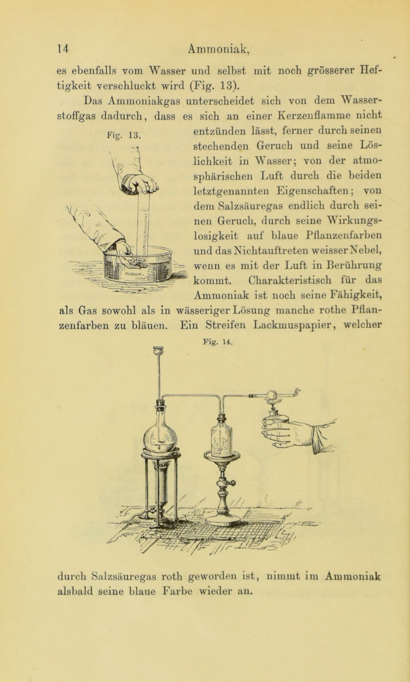 es ebenfalls vom Wasser und selbst mit noch grösserer Hef- tigkeit verscbluckt wird (Fig. 13). Das Ammoniakgas unterscheidet sich von dem Wasser- stoffgas dadurch, dass es sich an einer Kerzenflamme nicht entzünden lässt, ferner durch seinen stechenden Geruch und seine Lös- lichkeit in Wasser; von der atmo- sphärischen Luft durch die beiden letztgenannten Eigenschaften; von dem Salzsäuregas endlich durch sei- nen Geruch, durch seine Wirkungs- losigkeit auf blaue Pflauzenfarben und das Nichtauftreten weisser Nebel, wenn es mit der Luft in Berührung kommt. Charakteristisch für das Ammoniak ist noch seine Fähigkeit, als Gas sowohl als in wässeriger Lösung manche rothe Pflan- zenfarben zu bläuen. Ein Streifen Lackmuspapier, welcher durch Salzsäuregas roth geworden ist, nimmt im Ammoniak alsbald seine blaue Farbe wieder an.