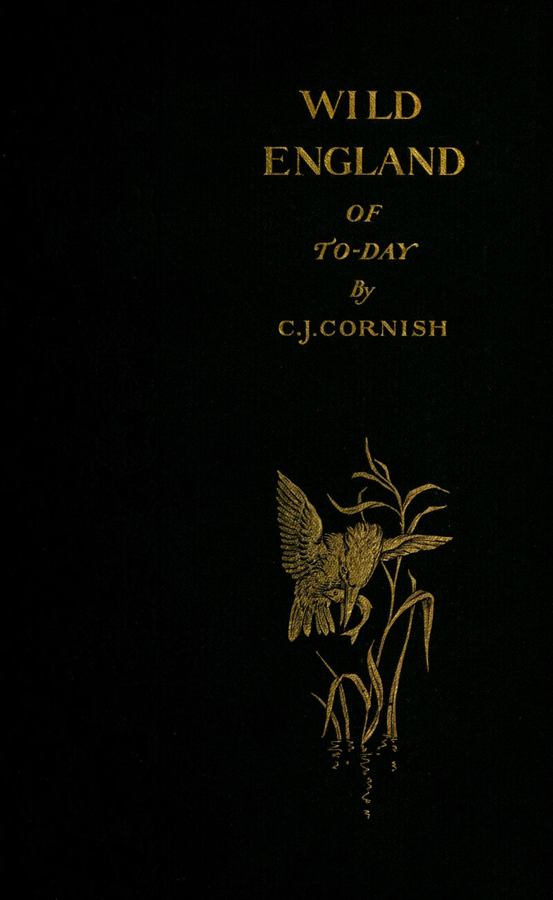 OF eJJQ~DAY' By C.J.CORNISH -? * ? <