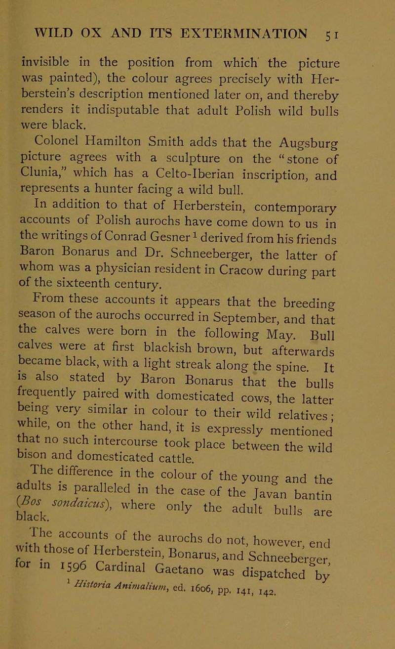 invisible in the position from which the picture was painted), the colour agrees precisely with Her- berstein’s description mentioned later on, and thereby renders it indisputable that adult Polish wild bulls were black. Colonel Hamilton Smith adds that the Augsburg picture agrees with a sculpture on the “stone of Clunia,” which has a Celto-Iberian inscription, and represents a hunter facing a wild bull. In addition to that of Herberstein, contemporary accounts of Polish aurochs have come down to us in the writings of Conrad Gesner1 derived from his friends Baron Bonarus and Dr. Schneeberger, the latter of whom was a physician resident in Cracow during part of the sixteenth century. From these accounts it appears that the breeding season of the aurochs occurred in September, and that the calves were born in the following May. Bull calves were at first blackish brown, but afterwards became black, with a light streak along the spine. It is also stated by Baron Bonarus that the bulls frequently paired with domesticated cows the latter being very similar in colour to their wild relatives • while, on the other hand, it is expressly mentioned that no such intercourse took place between the wild bison and domesticated cattle. The difference in the colour of the young and the adults is paralleled in the case of the Javan bantin black aKUS)• where on'y ‘he adult bulls are Ihe accounts of the aurochs do not, however end with those of Herberstein, Bonarus, and Schneeberger for in 1596 Cardinal Gaetano was dispatched “by 1 Historia Animation, cd. I6o6, pp. i4I) I42.