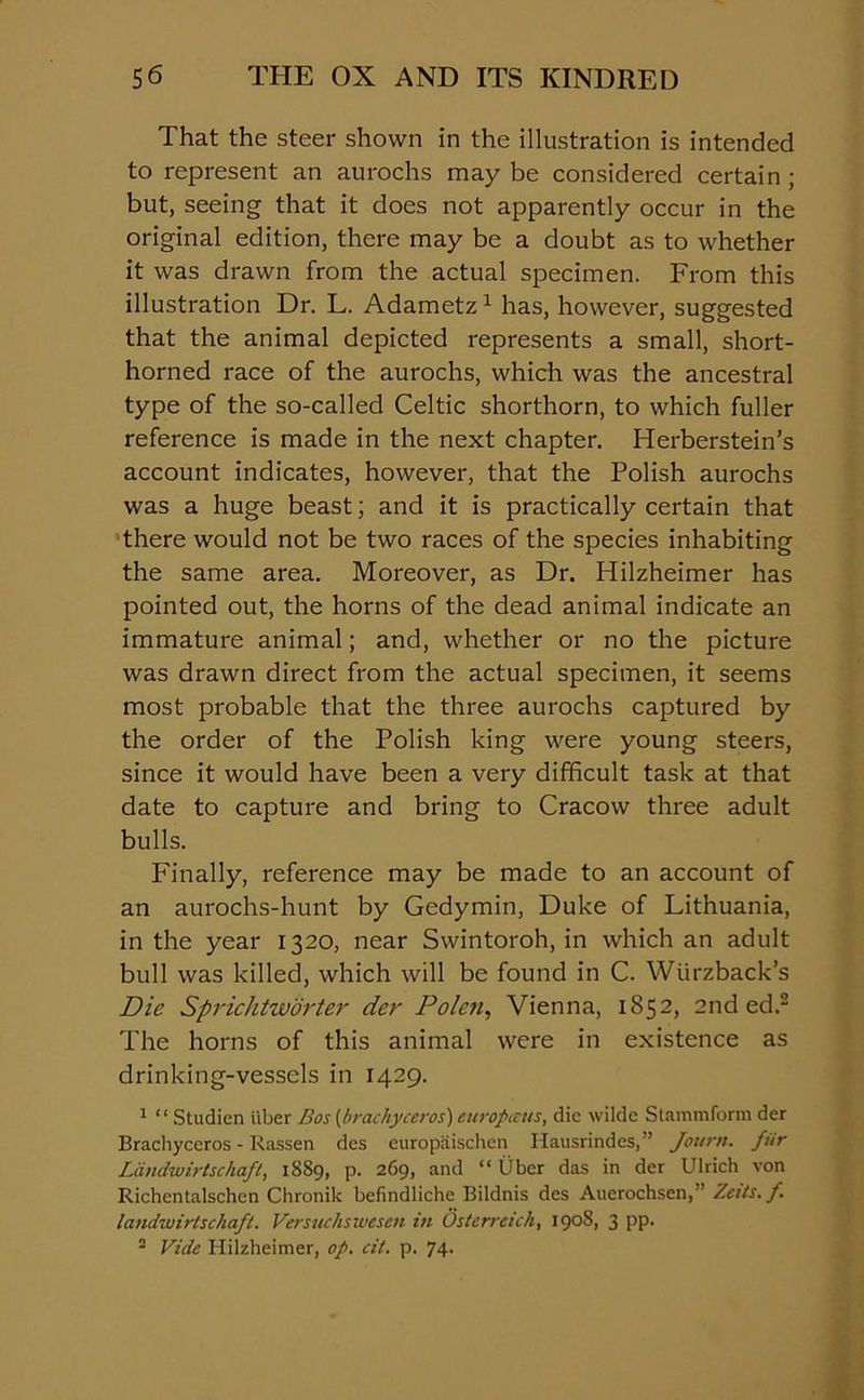 That the steer shown in the illustration is intended to represent an aurochs may be considered certain ; but, seeing that it does not apparently occur in the original edition, there may be a doubt as to whether it was drawn from the actual specimen. From this illustration Dr. L. Adametz1 has, however, suggested that the animal depicted represents a small, short- horned race of the aurochs, which was the ancestral type of the so-called Celtic shorthorn, to which fuller reference is made in the next chapter. Herberstein’s account indicates, however, that the Polish aurochs was a huge beast; and it is practically certain that there would not be two races of the species inhabiting the same area. Moreover, as Dr. Hilzheimer has pointed out, the horns of the dead animal indicate an immature animal; and, whether or no the picture was drawn direct from the actual specimen, it seems most probable that the three aurochs captured by the order of the Polish king were young steers, since it would have been a very difficult task at that date to capture and bring to Cracow three adult bulls. Finally, reference may be made to an account of an aurochs-hunt by Gedymin, Duke of Lithuania, in the year 1320, near Swintoroh, in which an adult bull was killed, which will be found in C. Wiirzback’s Die Sprichtworter der Polen, Vienna, 1852, 2nd ed.2 The horns of this animal were in existence as drinking-vessels in 1429. 1 “ Studien liber Bos (brachyceros) europccus, die wilde Stammform der Brachyceros - Rassen des europaischen Hausrindes,” Journ. fur Ldndwirtschaft, 1889, p. 269, and “ Uber das in der Ulrich von Richentalschen Chronik befindlichc Bildnis des Auerochsen,” Zcits. f. landwirtschaft. Versuckswesen in Osterreich, 1908, 3 pp. 2 Vide Hilzheimer, op. cit. p. 74.