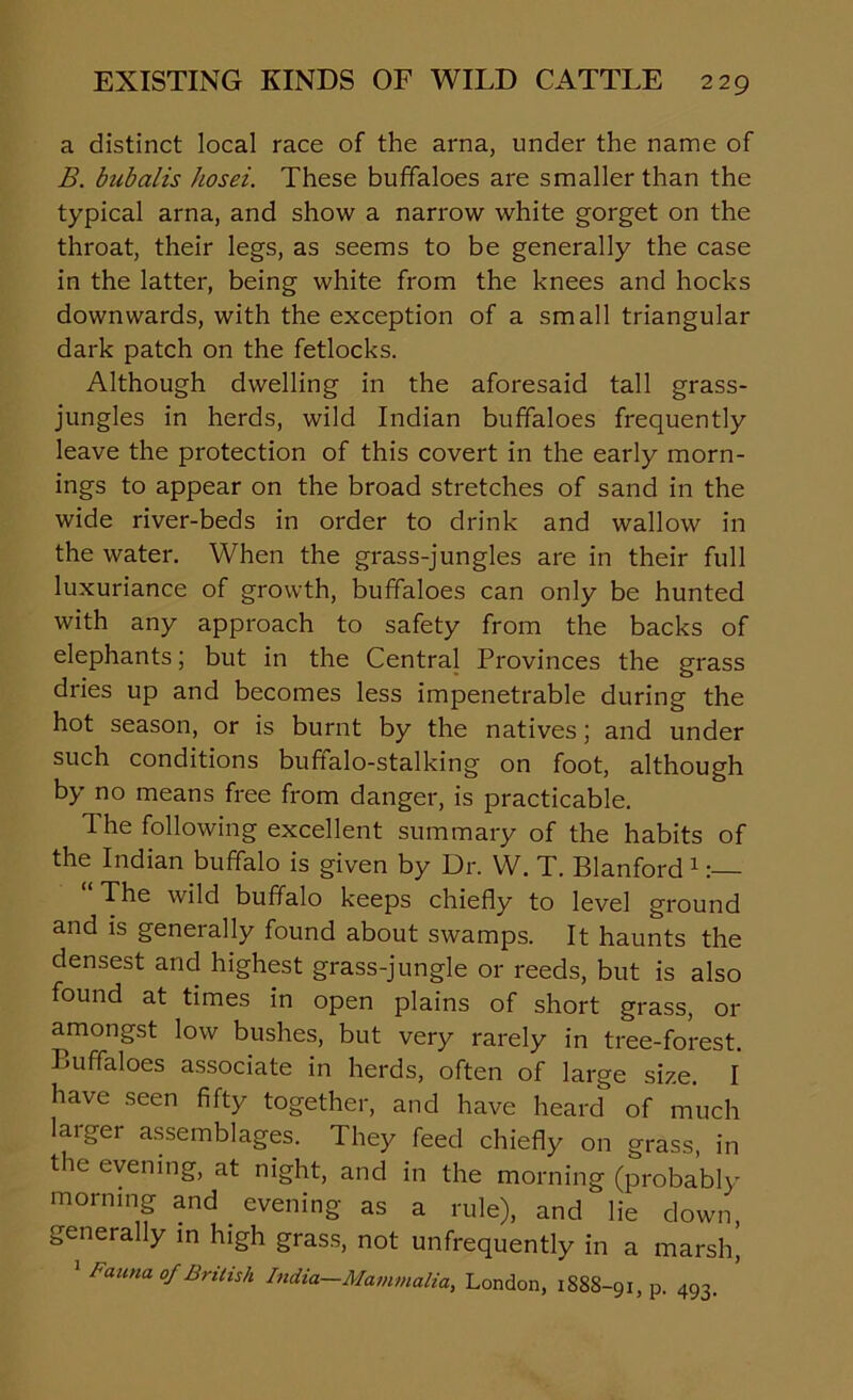 a distinct local race of the arna, under the name of B. bubalis hosei. These buffaloes are smaller than the typical arna, and show a narrow white gorget on the throat, their legs, as seems to be generally the case in the latter, being white from the knees and hocks downwards, with the exception of a small triangular dark patch on the fetlocks. Although dwelling in the aforesaid tall grass- jungles in herds, wild Indian buffaloes frequently leave the protection of this covert in the early morn- ings to appear on the broad stretches of sand in the wide river-beds in order to drink and wallow in the water. When the grass-jungles are in their full luxuriance of growth, buffaloes can only be hunted with any approach to safety from the backs of elephants; but in the Central Provinces the grass dries up and becomes less impenetrable during the hot season, or is burnt by the natives; and under such conditions buffalo-stalking on foot, although by no means free from danger, is practicable. The following excellent summary of the habits of the Indian buffalo is given by Dr. W. T. Blanford 1: The wild buffalo keeps chiefly to level ground and is generally found about swamps. It haunts the densest and highest grass-jungle or reeds, but is also found at times in open plains of short grass, or amongst low bushes, but very rarely in tree-forest. Buffaloes associate in herds, often of large size. I have seen fifty together, and have heard of much laiger assemblages. They feed chiefly on grass, in the evening, at night, and in the morning (probably morning and evening as a rule), and lie down, generally in high grass, not unfrequently in a marslq 1 Fauna of British India—Mammalia, London, 1888-91, p. 493.