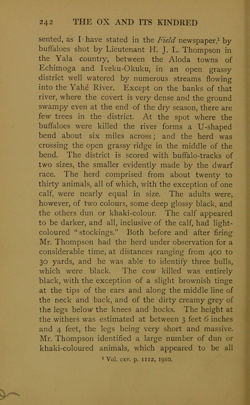 sented, as I have stated in the Field newspaper,1 by buffaloes shot by Lieutenant H. J. L. Thompson in the Yala country, between the Aloda towns of Echimoga and Iveku-Okuku, in an open grassy district well watered by numerous streams flowing into the Yahe River. Except on the banks of that river, where the covert is very dense and the ground swampy even at the end of the dry season, there are few trees in the district. At the spot where the buffaloes were killed the river forms a U-shaped bend about six miles across; and the herd was crossing the open grassy ridge in the middle of the bend. The district is scored with buffalo-tracks of two sizes, the smaller evidently made by the dwarf race. The herd comprised from about twenty to thirty animals, all of which, with the exception of one calf, were nearly equal in size. The adults were, however, of two colours, some deep glossy black, and the others dun or khaki-colour. The calf appeared to be darker, and all, inclusive of the calf, had light- coloured “stockings.” Both before and after firing Mr. Thompson had the herd under observation for a considerable time, at distances ranging from 400 to 30 yards, and he was able to identify three bulls, which were black. The cow killed was entirely black, with the exception of a slight brownish tinge at the tips of the ears and along the middle line of the neck and back, and of the dirty creamy grey of the legs below the knees and hocks. The height at the withers was estimated at between 3 feet 6 inches and 4 feet, the legs being very short and massive. Mr. Thompson identified a large number of dun or khaki-coloured animals, which appeared to be all 1 Vol. cxv. p. 1112, 1910.