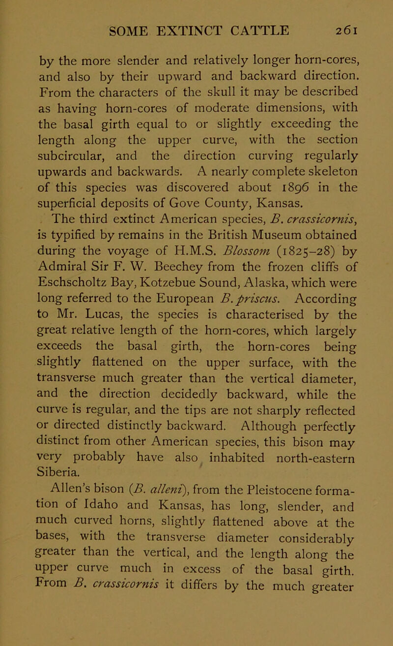 by the more slender and relatively longer horn-cores, and also by their upward and backward direction. From the characters of the skull it may be described as having horn-cores of moderate dimensions, with the basal girth equal to or slightly exceeding the length along the upper curve, with the section subcircular, and the direction curving regularly upwards and backwards. A nearly complete skeleton of this species was discovered about 1896 in the superficial deposits of Gove County, Kansas. The third extinct American species, B. crassicornis, is typified by remains in the British Museum obtained during the voyage of H.M.S. Blossom (1825-28) by Admiral Sir F. W. Beechey from the frozen cliffs of Eschscholtz Bay, Kotzebue Sound, Alaska, which were long referred to the European B. prisons. According to Mr. Lucas, the species is characterised by the great relative length of the horn-cores, which largely exceeds the basal girth, the horn-cores being slightly flattened on the upper surface, with the transverse much greater than the vertical diameter, and the direction decidedly backward, while the curve is regular, and the tips are not sharply reflected or directed distinctly backward. Although perfectly distinct from other American species, this bison may very probably have also inhabited north-eastern Siberia. Allen’s bison (B. alleni), from the Pleistocene forma- tion of Idaho and Kansas, has long, slender, and much curved horns, slightly flattened above at the bases, with the transverse diameter considerably greater than the vertical, and the length along the upper curve much in excess of the basal girth. From B. crassicornis it differs by the much greater