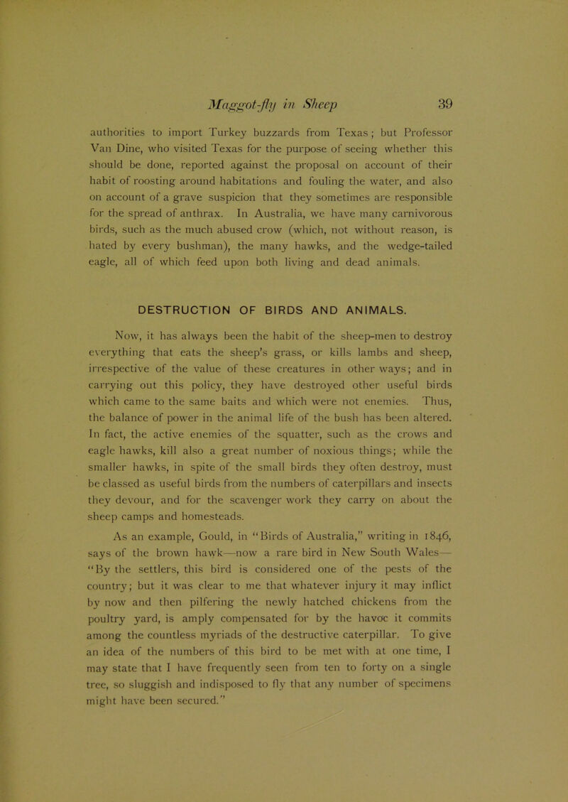 authorities to import Turkey buzzards from Texas; but Professor Van Dine, who visited Texas for the purpose of seeing whether this should be done, reported against the proposal on account of their habit of roosting around habitations and fouling the water, and also on account of a grave suspicion that they sometimes are responsible for the spread of anthrax. In Australia, we have many carnivorous birds, such as the much abused crow (which, not without reason, is hated by every bushman), the many hawks, and the wedge-tailed eagle, all of which feed upon both living and dead animals. DESTRUCTION OF BIRDS AND ANIMALS. Now, it has always been the habit of the sheep-men to destroy everything that eats the sheep’s grass, or kills lambs and sheep, irrespective of the value of these creatures in other ways; and in carrying out this policy, they have destroyed other useful birds which came to the same baits and which were not enemies. Thus, the balance of power in the animal life of the bush has been altered. In fact, the active enemies of the squatter, such as the crows and eagle hawks, kill also a great number of noxious things; while the smaller hawks, in spite of the small birds they often destroy, must be classed as useful birds from the numbers of caterpillars and insects they devour, and for the scavenger work they carry on about the sheep camps and homesteads. As an example, Gould, in “Birds of Australia,” writing in 1846, says of the brown hawk—now a rare bird in New South Wales— “By the settlers, this bird is considered one of the pests of the country; but it was clear to me that whatever injury it may inflict by now and then pilfering the newly hatched chickens from the poultry yard, is amply compensated for by the havoc it commits among the countless myriads of the destructive caterpillar. To give an idea of the numbers of this bird to be met with at one time, I may state that I have frequently seen from ten to forty on a single tree, so sluggish and indisposed to fly that any number of specimens might have been secured.”