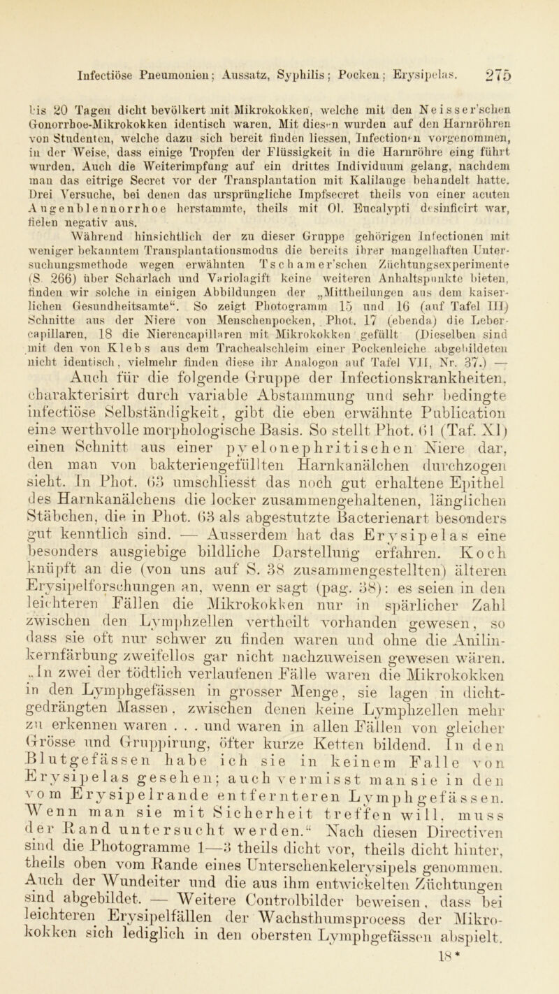 bis 20 Tagen dicht bevölkert mit Mikrokokken, welche mit den Ne i s ser’schen Gronorrhoe-Mikrokokken identisch waren. Mit diesen wurden auf den Harnröhren von Studenten, welche dazu sich bereit finden Hessen, Infectiomn vorgenommen, in der Weise, dass einige Tropfen der Flüssigkeit in die Harnröhre eing führt wurden. Auch die Weiterimpfung auf ein drittes Individuum gelang, nachdem mau das eitrige Secret vor der Transplantation mit Kalilauge behandelt hatte. Drei Versuche, bei denen das ursprüngliche Impfsecret theils von einer acuten A ugenbl ennorrhoe herstammte, theils mit Ol. Eucalypti desinficirt war, fielen negativ aus. Während hinsichtlich der zu dieser Gruppe gehörigen Infectionen mit weniger bekanntem Transplantatiousmodus die bereits ihrer mangelhaften Unter - sucliungsmethode wegen erwähnten Ts c h am er’schen Züchtungsexperimente (S 266) über Scharlach und Vnriolagift keine weiteren Anhaltspunkte bieten, finden wir solche in einigen Abbildungen der „Mittheilungen aus dem kaiser- lichen Gesundheitsamte“. So zeigt Pliotogramm 15 und 16 (auf Tafel III) Schnitte aus der Niere von Menschenpocken, Phot. 17 (ebenda) die Leber - capillaren, 18 die Nierencapillaren mit Mikrokokken gefüllt (Dieselben sind mit den von Klebs aus dem Trachealschleim einer Pockenleiclie abgebildeten nicht identisch, vielmehr finden diese ihr Analogon auf Tafel VII, Nr. 37.) — Auch für die folgende Gruppe der Infectionskrankheiten. eharakterisirt durch variable Abstammung und sehr bedingte infectiöse Selbständigkeit, gibt die eben erwähnte Publication eine werthvolle morphologische Basis. So stellt Phot. 61 (Taf. XI) einen Schnitt aus einer pyelonephritischen Niere dar, den man von bakteriengefüllten Harnkanälchen durchzogen sieht. In Phot, 63 umschliesst das noch gut erhaltene Epithel des Harnkanälchens die locker zusammengehaltenen, länglichen Stäbchen, die in Phot. 63 als abgestutzte Bacterienart besonders gut kenntlich sind. *— Ausserdem hat das Erysipelas eine besonders ausgiebige bildliche Darstellung erfahren. Koch knüpft an die (von uns auf S. 38 zusammengestellten) älteren Erysipelforschungen an, wenn er sagt (pag. 38): es seien in den leichteren Fällen die Mikrokokken nur in spärlicher Zahl zwischen den Lymphzellen vertheilt vorhanden gewesen, so dass sie oft nur schwer zu finden waren und ohne die Anilin- kernfärbung zweifellos gar nicht nachzuweisen gewesen wären, „ln zwei der todtlich verlaufenen Fälle waren die Mikrokokken in den Lymphgefässen in grosser Menge, sie lagen in dicht- gedrängten Massen , zwischen denen keine Lymphzellen mehr zu erkennen waren . . . und waren in allen Fällen von gleicher Grösse und Gruppirung, öfter kurze Ketten bildend. Ln den Blutgefässen habe ich sie in keinem Falle von Erysipelas gesehen; auch vermisst m ansi e i n den vo m Erysipelrande entfernteren Lymphgefässen. AVenn man sie mit Sicherheit treffen will, muss der Band untersucht werden.“ Nach diesen Directiven sind die Photogramme 1—3 theils dicht vor, theils dicht hinter, theils oben vom Bande eines Unterschenkelerysipels genommen. Auch der Wundeiter und die aus ihm entwickelten Züchtungen sind abgebildet. — Weitere Controlbilder beweisen, dass bei leichteren Erysipelfällen der Wachsthum sprocess der Mikro- kokken sich lediglich in den obersten Lymphgefässen abspielt. 18*