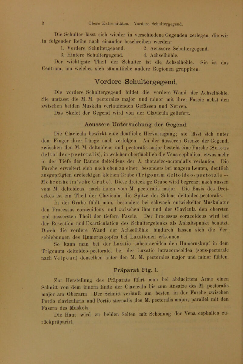 Die Schulter lässt sich wieder in verschiedene Gegenden zerlegen, die wir in folgender Reihe nach einander beschreiben werden: 1. Vordere Schultergegend. 2. Aeussere Schultergegend. 3. Hintere Schultergegend. 4. Achselhöhle. Der wichtigste Theil der Schulter ist die Achselhöhle. Sie ist das Centrum, um welches sich sämmtliche andere Regionen gruppiren. Vordere Schultergegend. Die vordere Schultergegend bildet die vordere Wand der Achselhöhle. Sie umfasst die M. M. pectorales major und minor mit ihrer Fascie nebst den zwischen beiden Muskeln verlaufenden Gefässen und Nerven. Das Skelet der Gegend wird von der Clavicula geliefert. Aeussere Untersuchung der Gegend. Die Clavicula bewirkt eine deutliche Hervorragung; sie lässt sich unter dem Finger ihrer Länge nach verfolgen. An der äusseren Grenze der Gegend, zwischen den M. M. deltoideus und pectoralis major besteht eine Furche (Sulcus deltoideo-pectoralis), in welcher oberflächlich die Vena cephalica, etwas mehr in der Tiefe der Ramus deltoideus der A. thoracico-acromialis verlaufen. Die Furche erweitert sich nach oben zu einer, besonders bei magern Leuten, deutlich ausgeprägten dreieckigen kleinen Grube (Trigonum deltoideo- pect orale — M o h r e n h e i m ’s ch e Gru b e). Diese dreieckige Grube wird begrenzt nach aussen vom M. deltoideus, nach innen vom M. pectoralis major. Die Basis des Drei- eckes ist ein Theil der Clavicula, die Spitze der Sulcus deltoideo-pectoralis. In der Grube fühlt man, besonders bei schwach entwickelter Muskulatur den Processus coracoideus und zwischen ihm und der Clavicula den obersten und äussersten Theil der tiefem Fascie. Der Processus coracoideus wird bei der Resection und Exarticulation des Schultergelenks als Anhaltspunkt benutzt. Durch die vordere Wand der Achselhöhle hindurch lassen sich die Ver- schiebungen des Humeruskopfes bei Luxationen erkennen. So kann man bei der Luxatio subeoracoidea den Humeruskopf in dem Trigonum deltoideo-pectorale, bei der Luxatio intracoracoidea (sous-pectorale nach Velpeau) denselben unter den M. M. pectorales major und minor fühlen. Präparat Fig. 1. Zur Herstellung des Präparats führt man bei abducirtem Arme einen Schnitt von dem innern Ende der Clavicula bis zum Ansätze des M. pectoralis major am Oberarm. Der Schnitt verläuft am besten in der Furche zwischen Portio clavicularis und Portio stcrnalis des M. pectoralis major, parallel mit den Fasern des Muskels. Die Haut wird zu beiden Seiten mit Schonung der Vena cephalica zu- rückpräparirt.