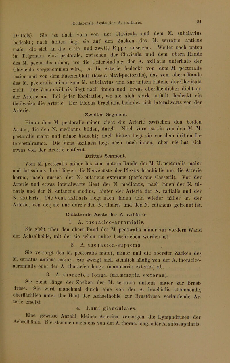 Drittels). Sie ist nach vorn von der Clavicula und dem M. subclavius bedeckt; nach hinten liegt sie auf den Zacken des M. serratus anticus maior, die sich an die erste und zweite Rippe ansetzen. Weiter nach unten im Trigon um clavi-pectorale, zwischen der Clavicula und dem obern Rande des M. pectoralis minor, wo die Unterbindung der A. axillaris unterhalb dei Clavicula vorgenommen wird, ist die Arterie bedeckt von dem M. pectoralis maior und von dem Fascienblatt (fascia clavi-pectoralis), das vom obern Rande des M. pectoralis minor zum M. subclavius und zur untern Flache der Clavicula zieht. Die Vena axillaris liegt nach innen und etwas oberflächlicher dicht an der Arterie an. Bei jeder Expiration, wo sie sich stark anfüllt, bedeckt sic theilweise die Arterie. Der Plexus brachialis befindet sich lateralwärts von der Arterie. Zweites Segment. Hinter dem M. pectoralis minor zieht die Arterie zwischen den beiden Aesten, die den N. medianus bilden, durch. Nach vorn ist sie von den M. M. pectoralis maior und minor bedeckt; nach hinten liegt sie vor dem dritten In- tercostalraume. Die Vena axillaris liegt noch nach innen, aber sie hat sich etwas von der Arterie entfernt. Drittes Segment. Vom M. pectoralis minor bis zum untern Rande der M. M. pectoralis maior und latissimus dorsi liegen die Nervenäste des Plexus brachialis um die Arterie herum, nach aussen der N. cutaneus externus (perforans Casserii). Vor der Arterie und etwas lateralwärts liegt der N. medianus, nach innen der N. ul- naris und der N. cutaneus medius, hinter der Arterie der N. radialis und der N. axillaris. Die Vena axillaris liegt nach innen und wieder näher an der Arterie, von der sie nur durch den N. ulnaris und den N. cutaneus getrennt ist. Collaterale Aeste der A. axillaris. 1. A. thoracico-acromialis. Sie zieht über den obern Rand des M. pectoralis minor zur vordem Wand der Achselhöhle, mit der sie schon näher beschrieben worden ist. 2. A. thoracica-suprema. Sie versorgt den M. pectoralis maior, minor und die obersten Zacken des M. serratus anticus maior. Sie zweigt sich ziemlich häufig von der A. thoracico- acromialis oder der A. thoracica longa (mammaria externa) ab. 3. A. thoracica longa (mammaria externa). Sie zieht längs der Zacken des M. serratus anticus maior zur Brust- drüse. Sie wird manchmal durch eine von der A. brachialis stammende, oberflächlich unter der Haut der Achselhöhle zur Brustdrüse verlaufende Ar- terie ersetzt. 4. Rami glanduläres. Eine gewisse Anzahl kleiner Arterien versorgen die Lymphdrüscn der Achselhöhle. Sie stammen meistens von der A. thorac. long. oder A. subscapularis.